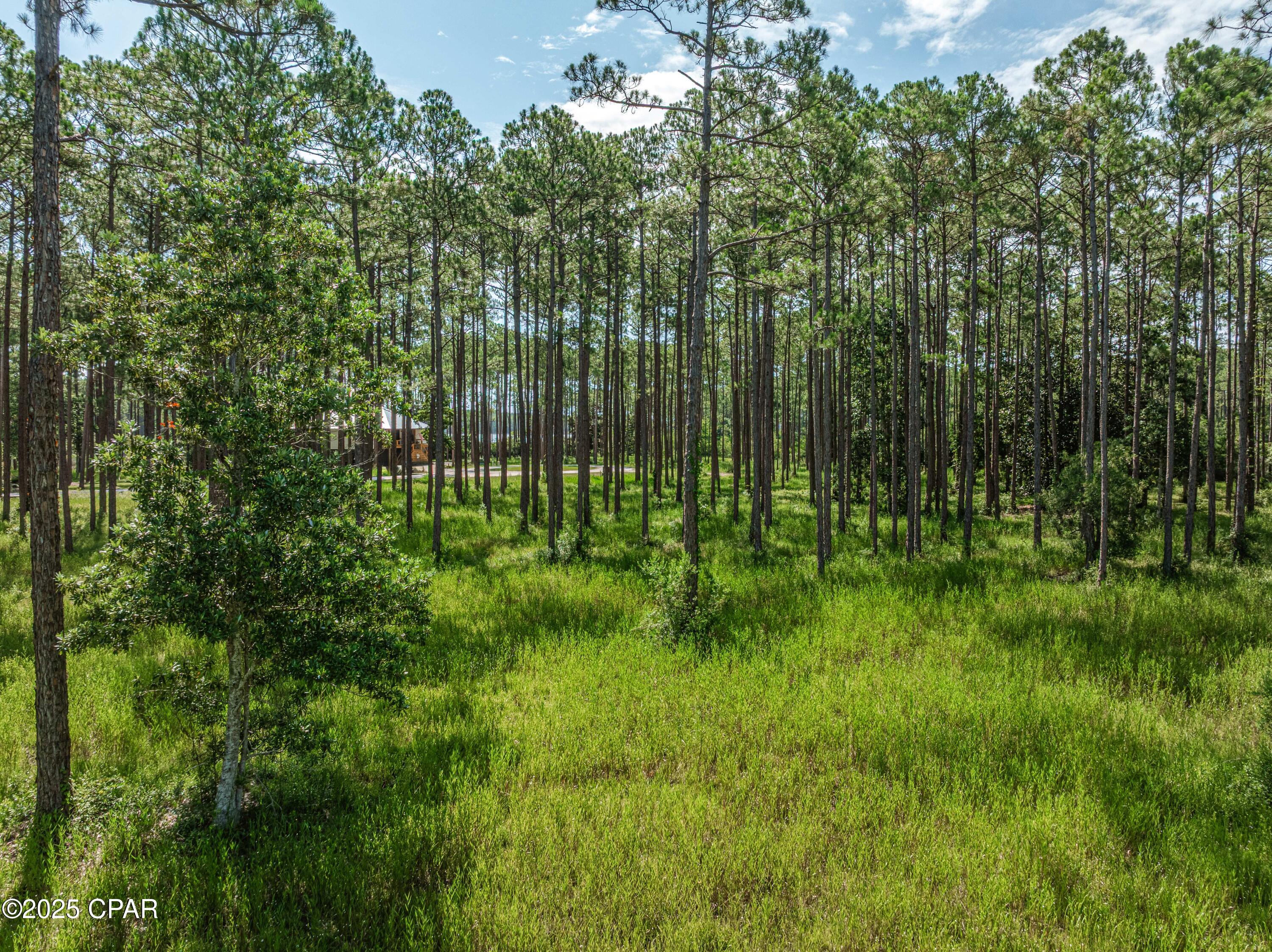 Image 7 For 8405 Deepwater Creek Lane