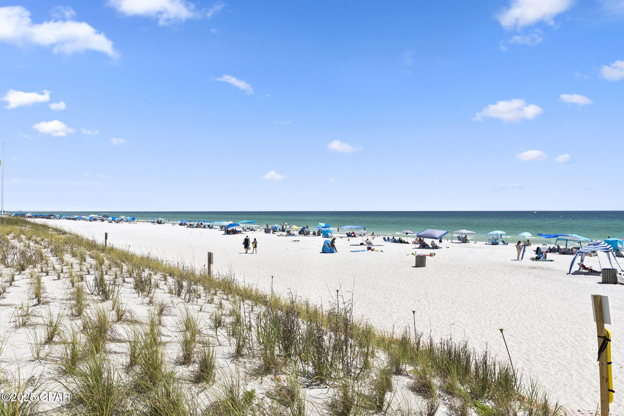 Image 63 For 6238 Thomas Drive