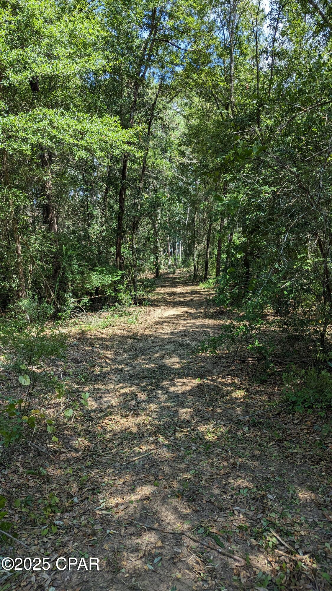 Image 5 For 0000 Moss Hill Road