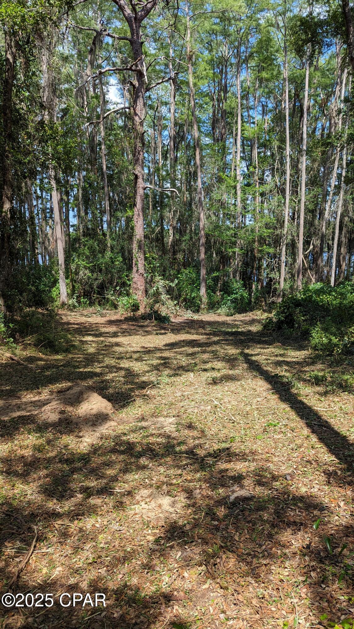 Image 6 For 0000 Moss Hill Road