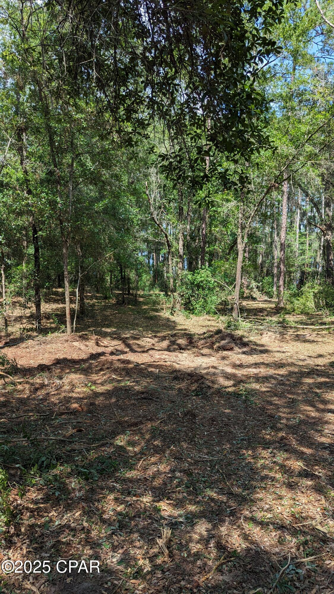 Image 7 For 0000 Moss Hill Road