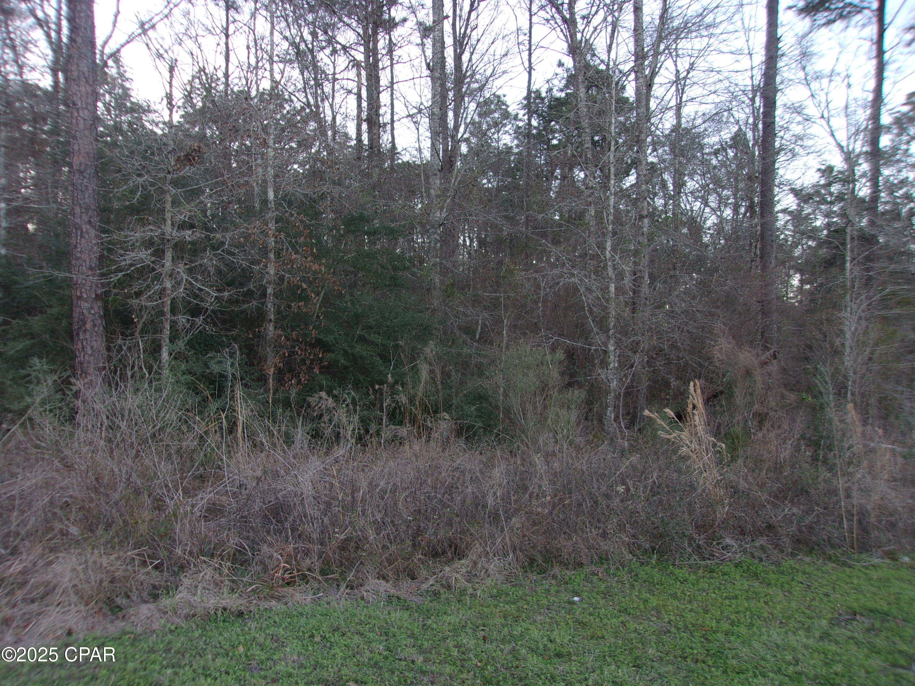 Image 3 For 000 Highway 79