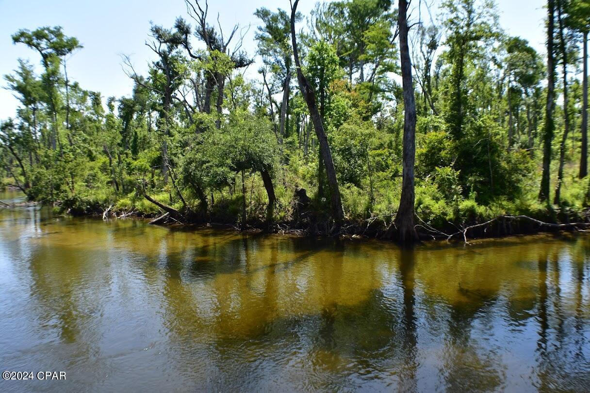 Image 11 For 6919 Cat Creek Road