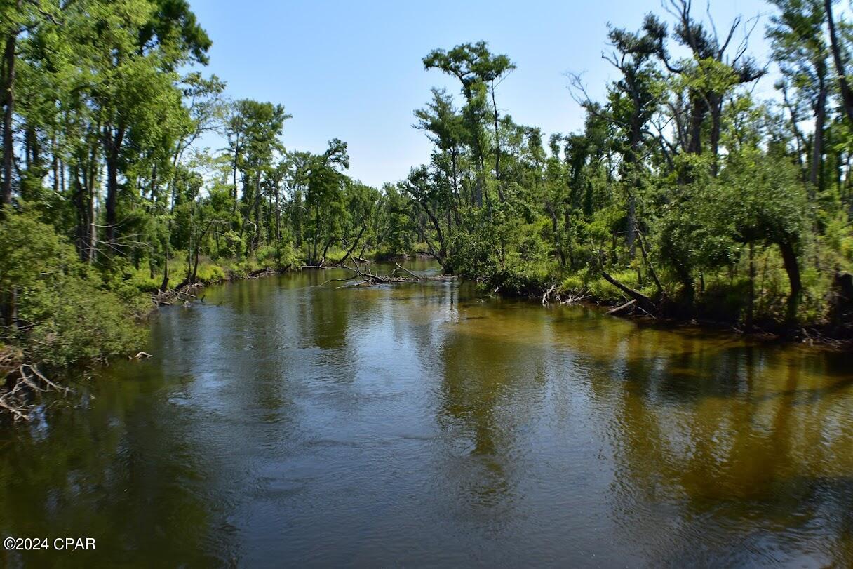 Image 12 For 6919 Cat Creek Road