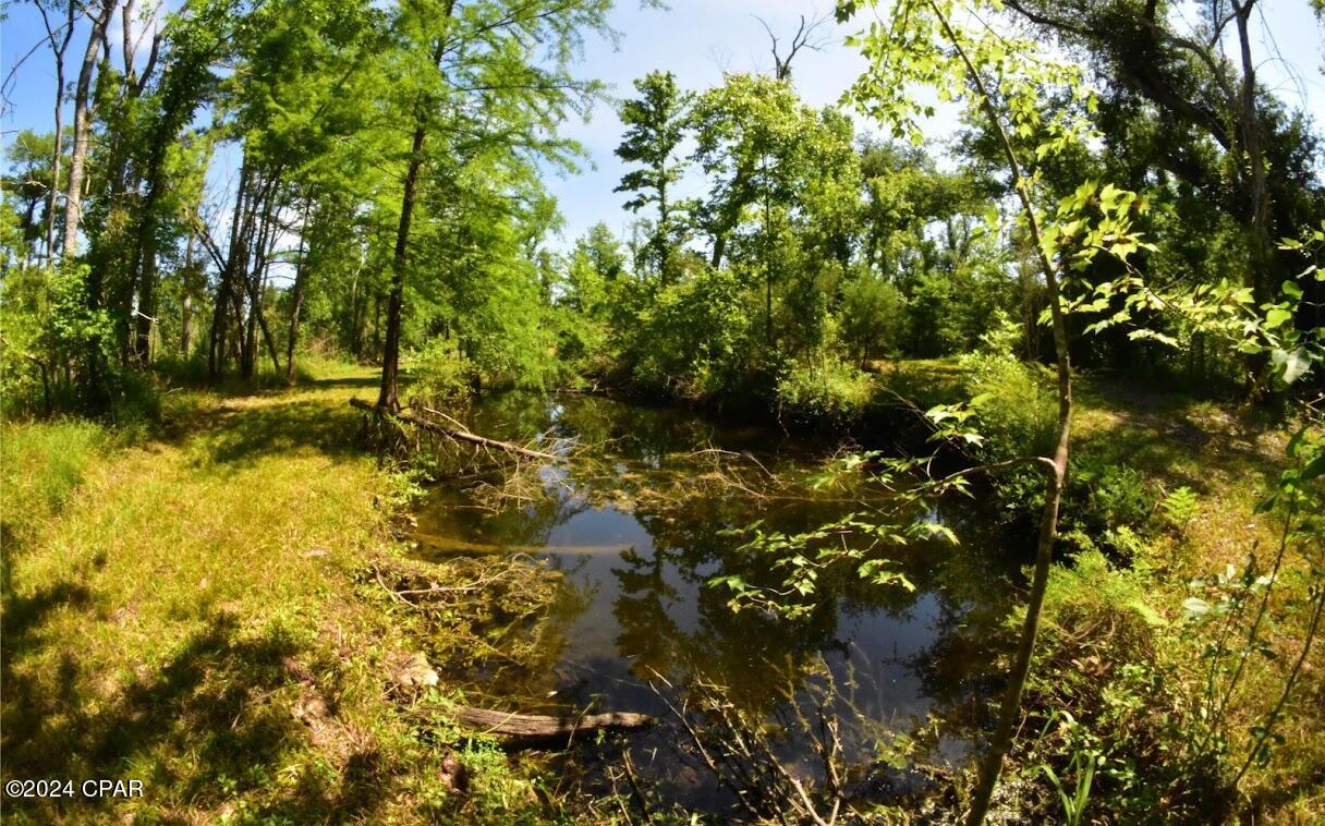 Image 15 For 6919 Cat Creek Road