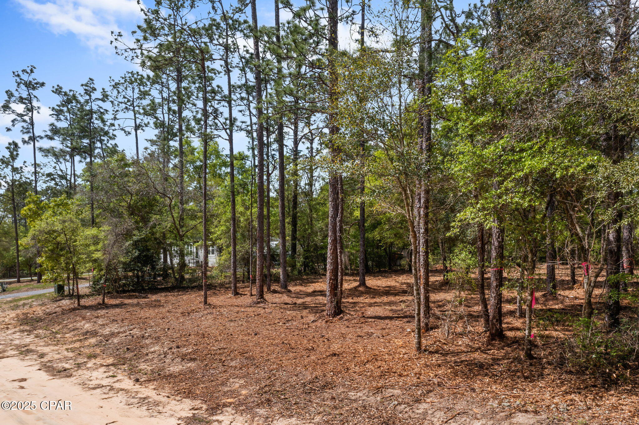 Image 14 For Lot 17 Dunford Circle