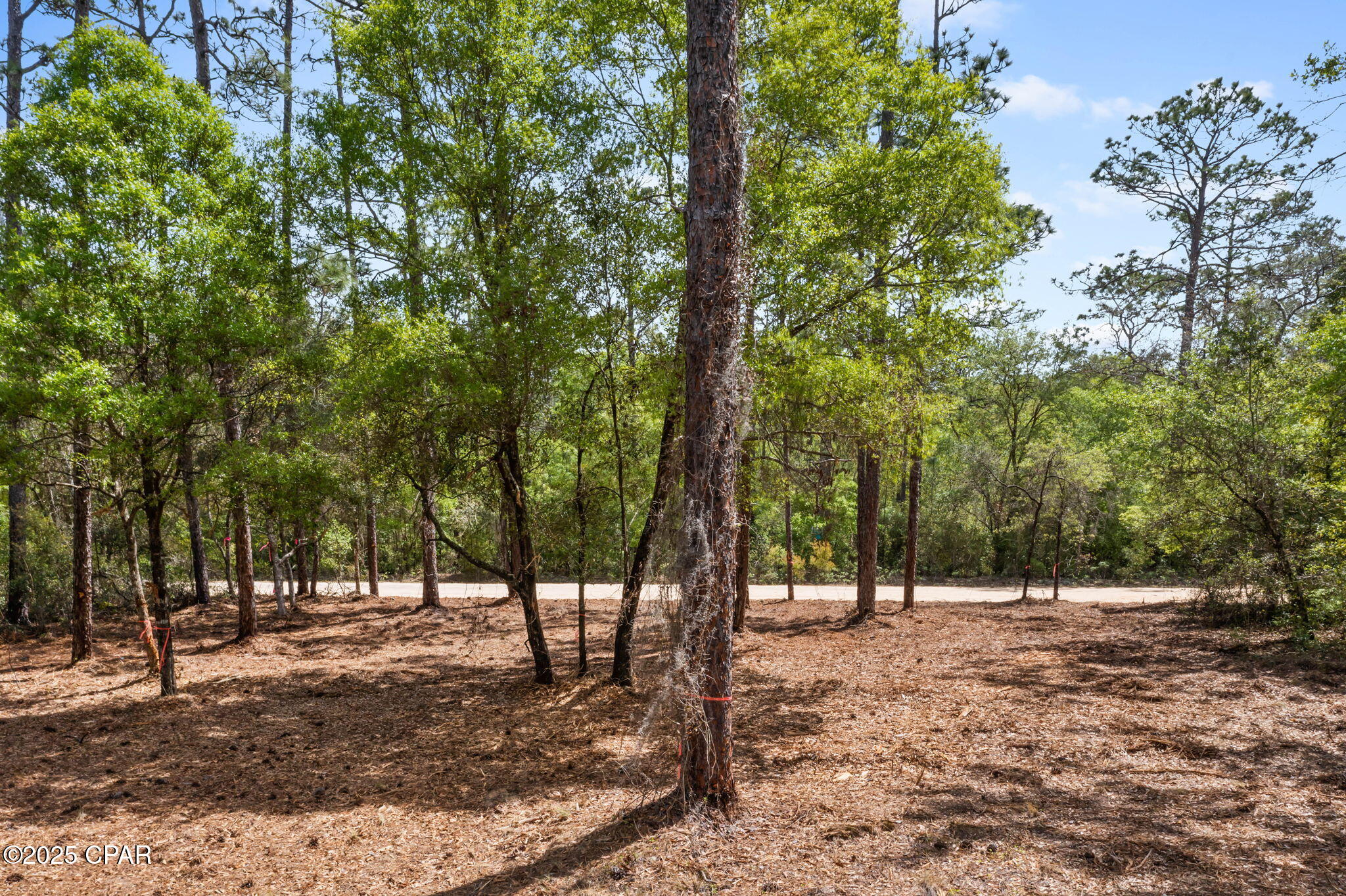 Image 16 For Lot 17 Dunford Circle