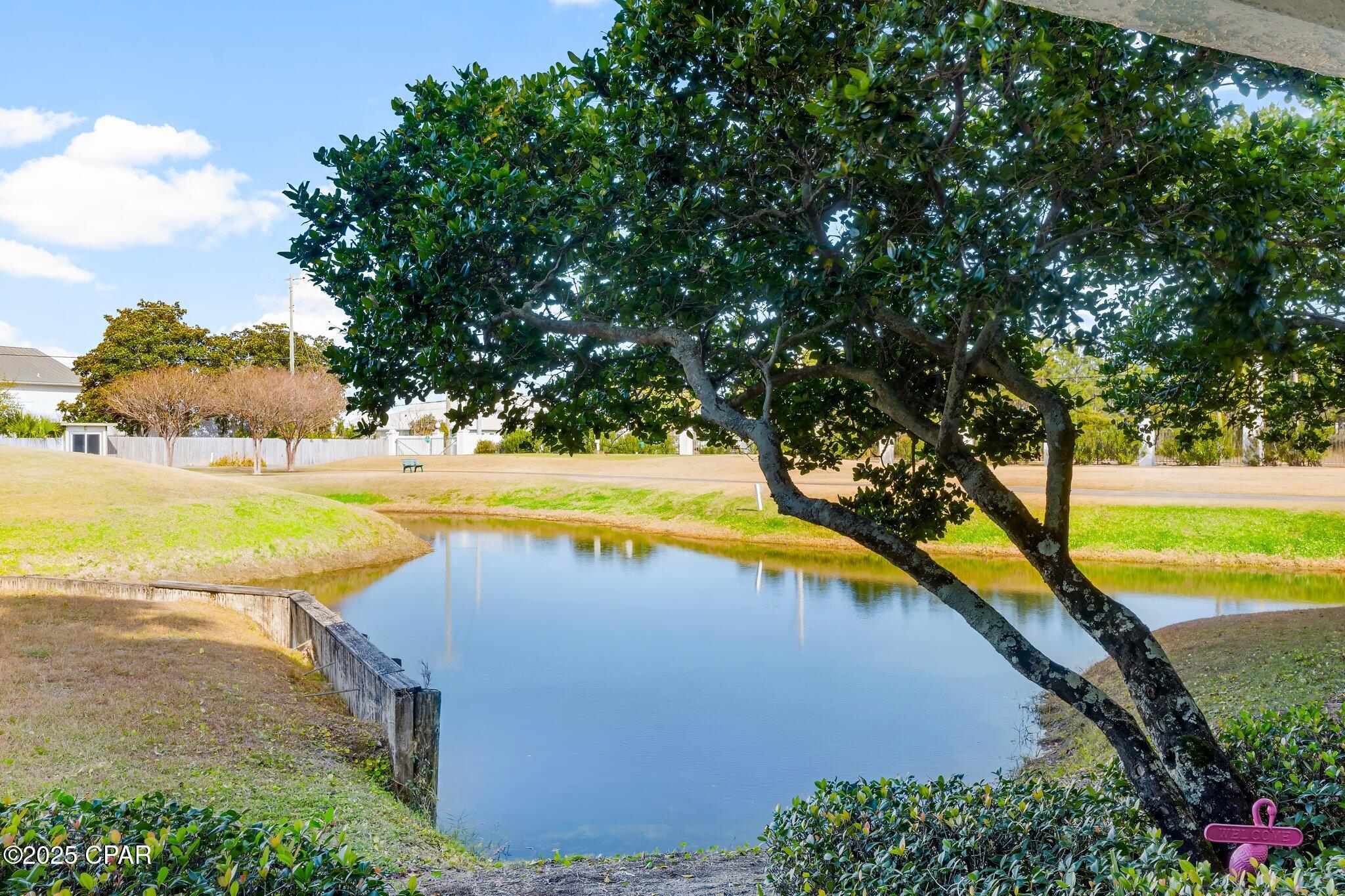 Image 24 For 520 Richard Jackson  2007