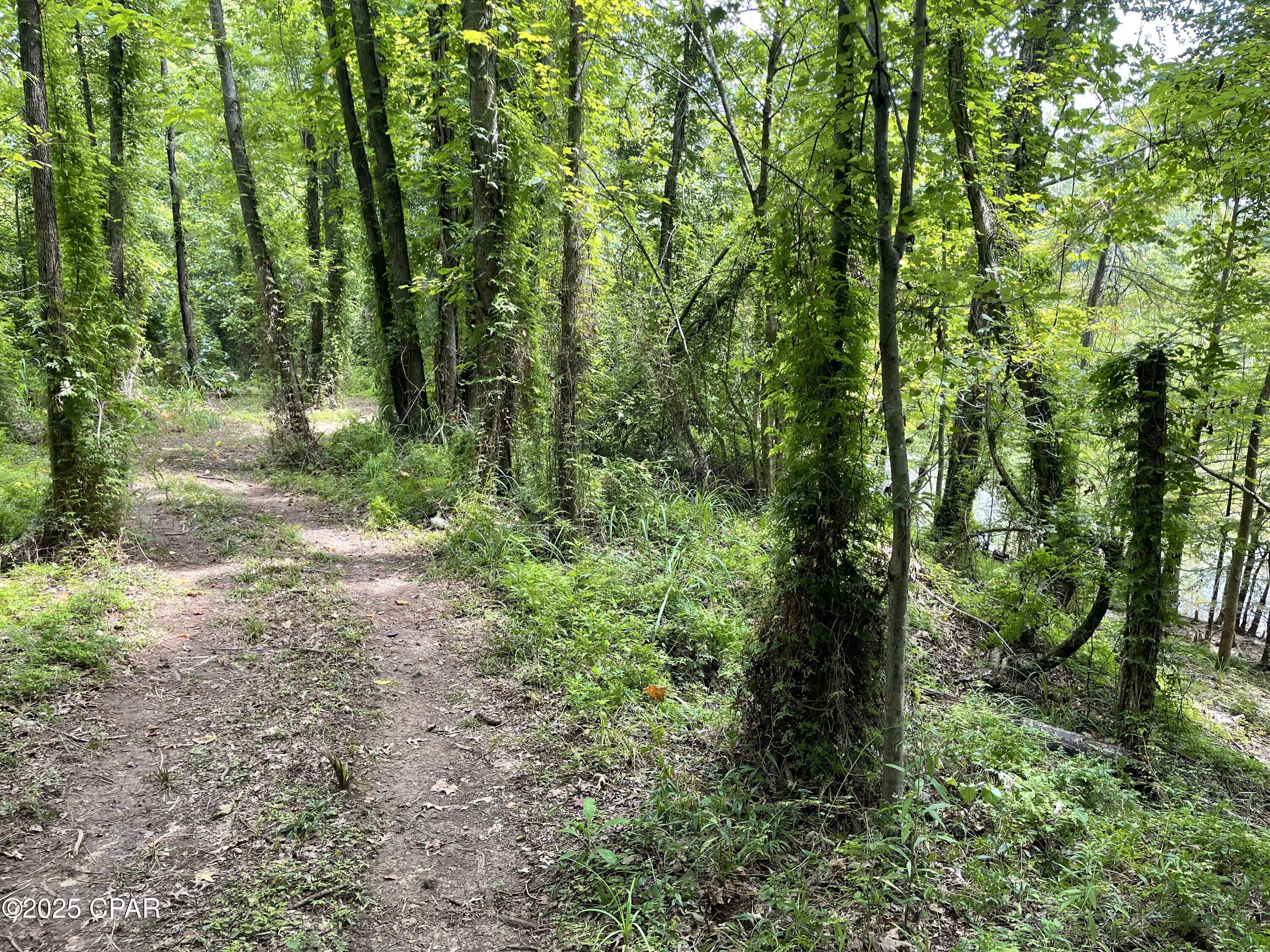 Image 24 For 8599 Gadsen Trail