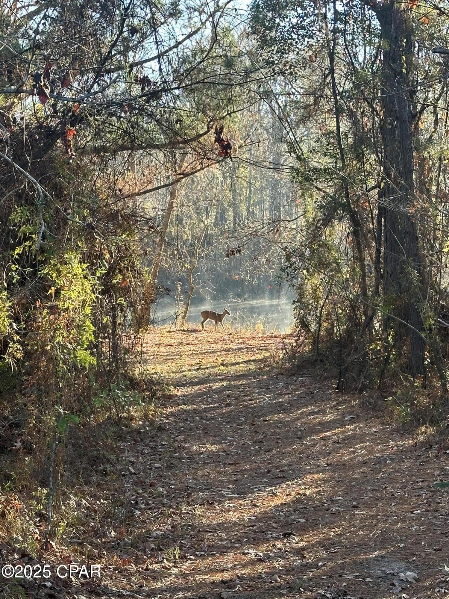 Image 27 For 8599 Gadsen Trail