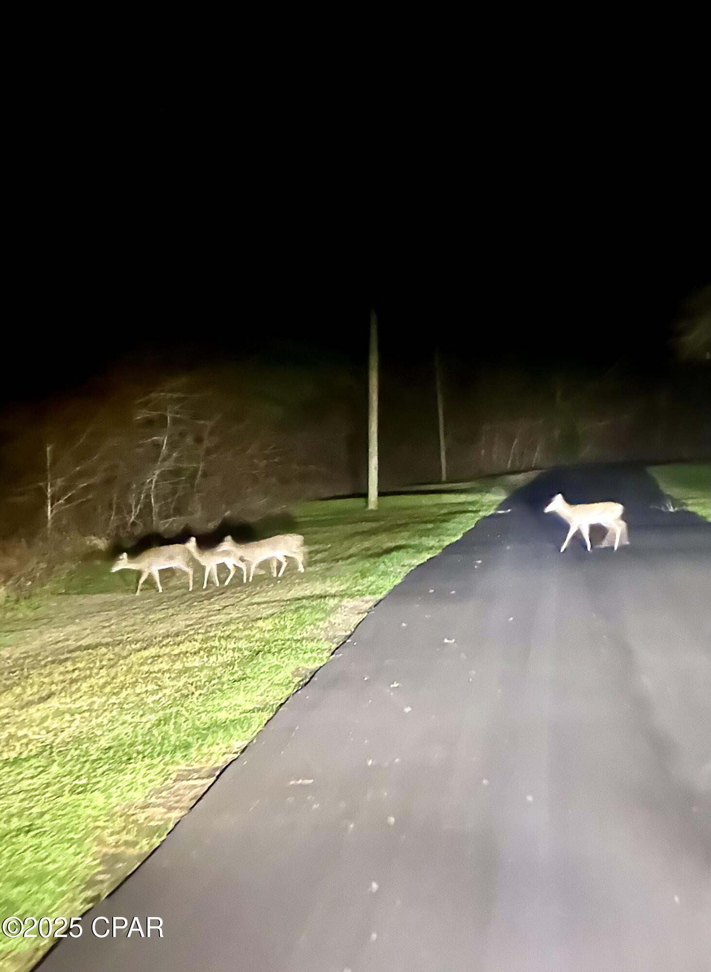 Image 28 For 8599 Gadsen Trail