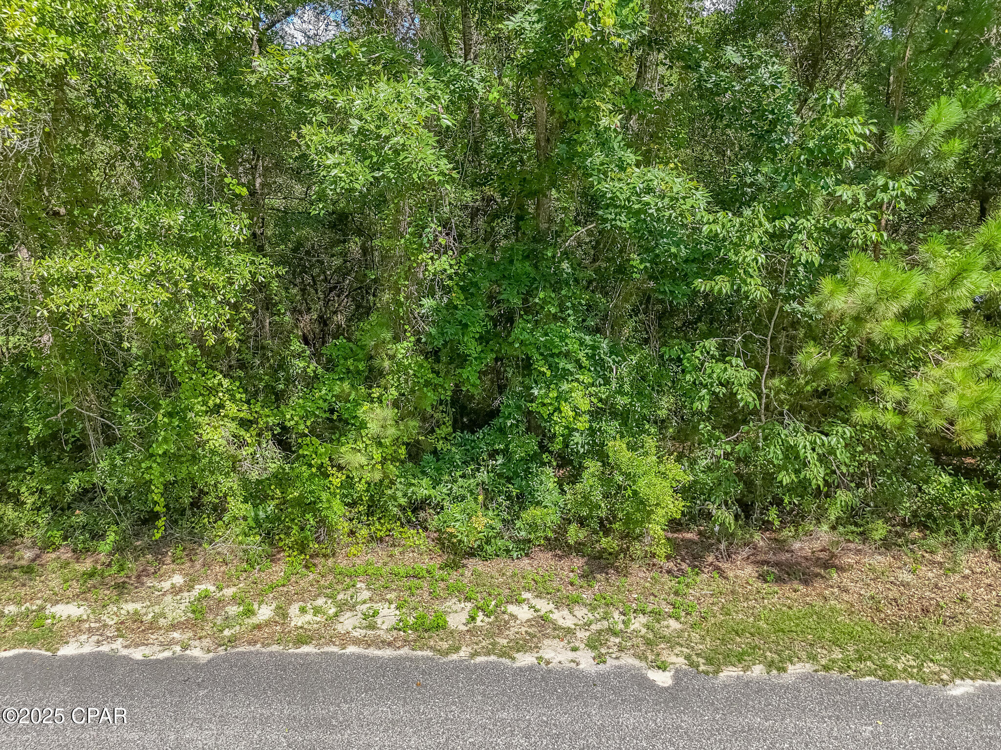 Image 10 For 0 Paradise Lakes Road