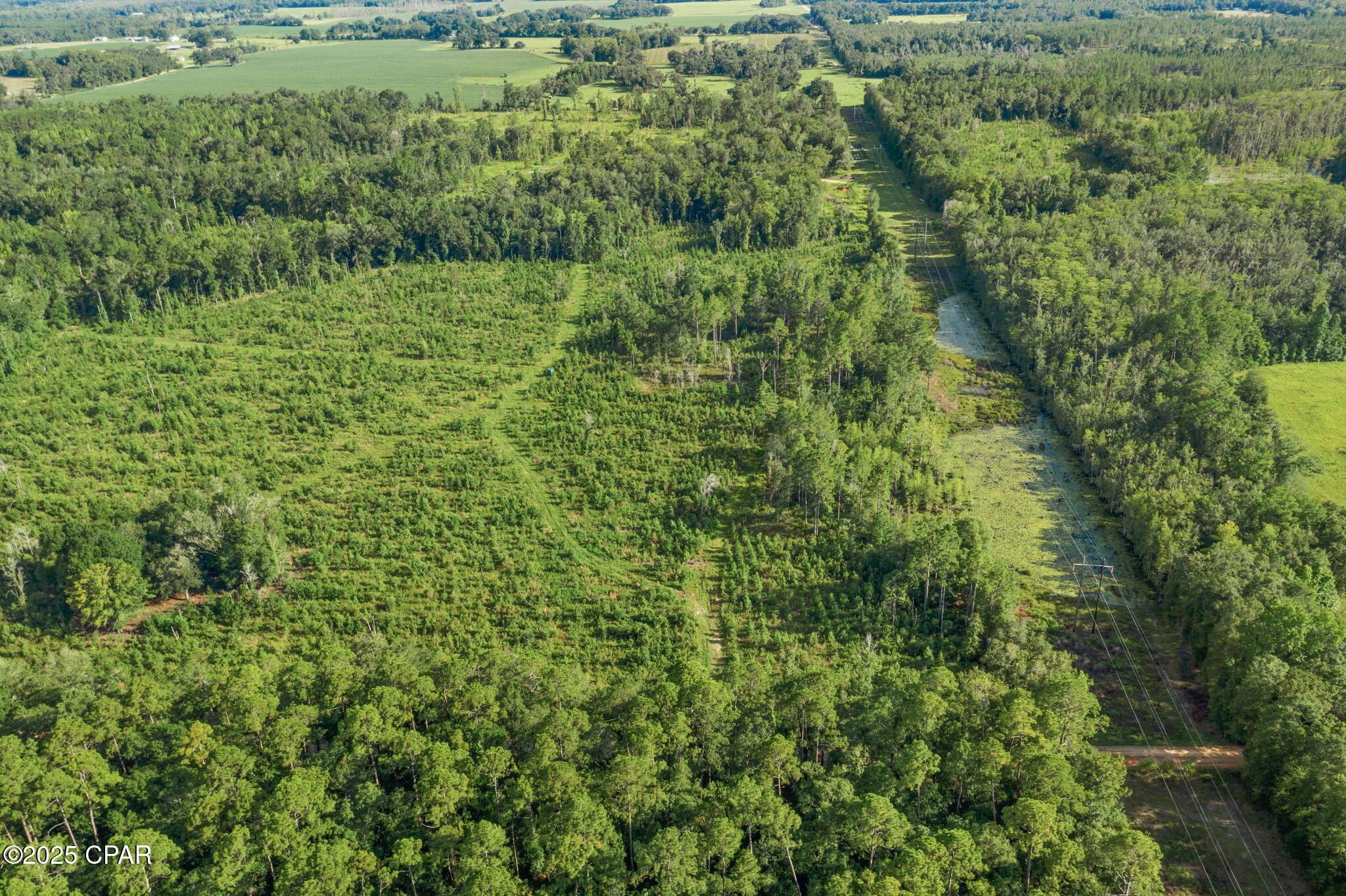 Image 10 For Xxx Birch Road (west 20)