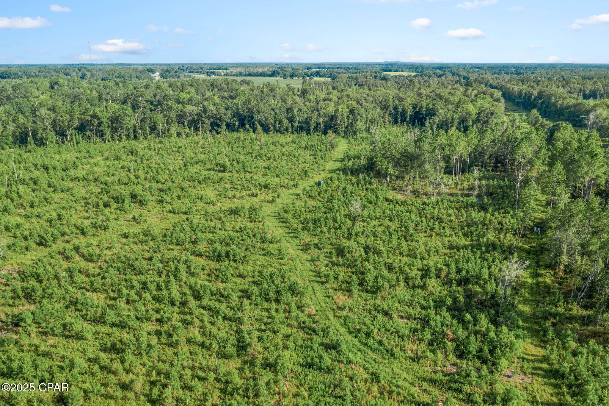 Image 16 For Xxx Birch Road (west 20)