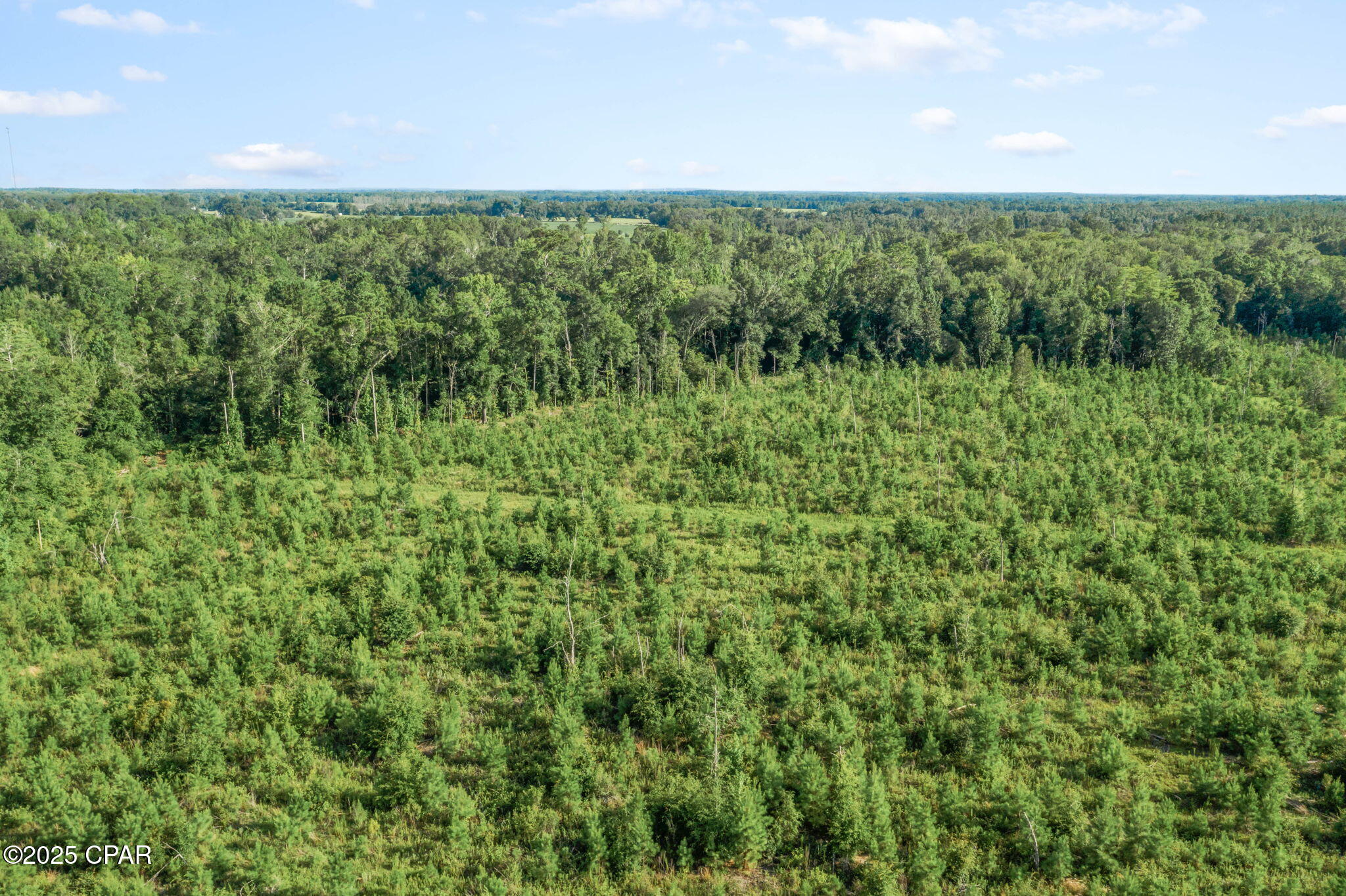 Image 17 For Xxx Birch Road (west 20)