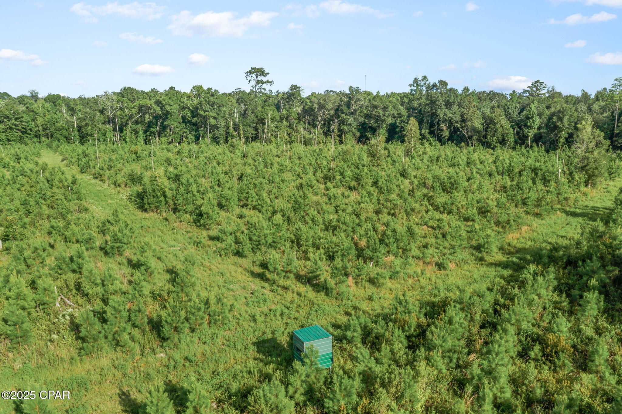 Image 18 For Xxx Birch Road (west 20)