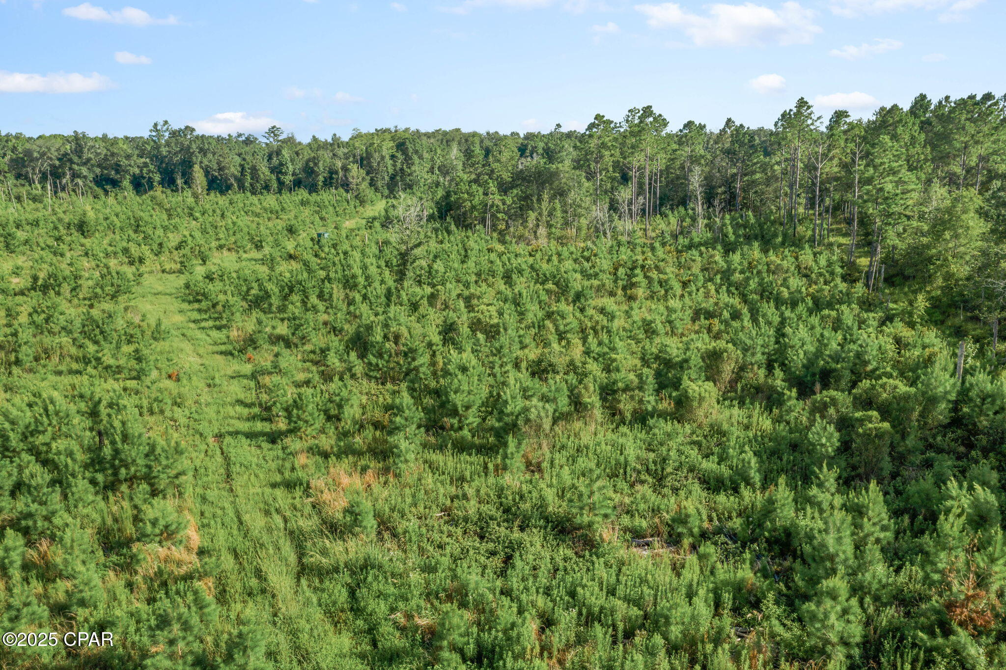 Homes for sale in Graceville, FL | Xxx Birch Rd #(West 20), Graceville, FL 32440 | MLS# 776842