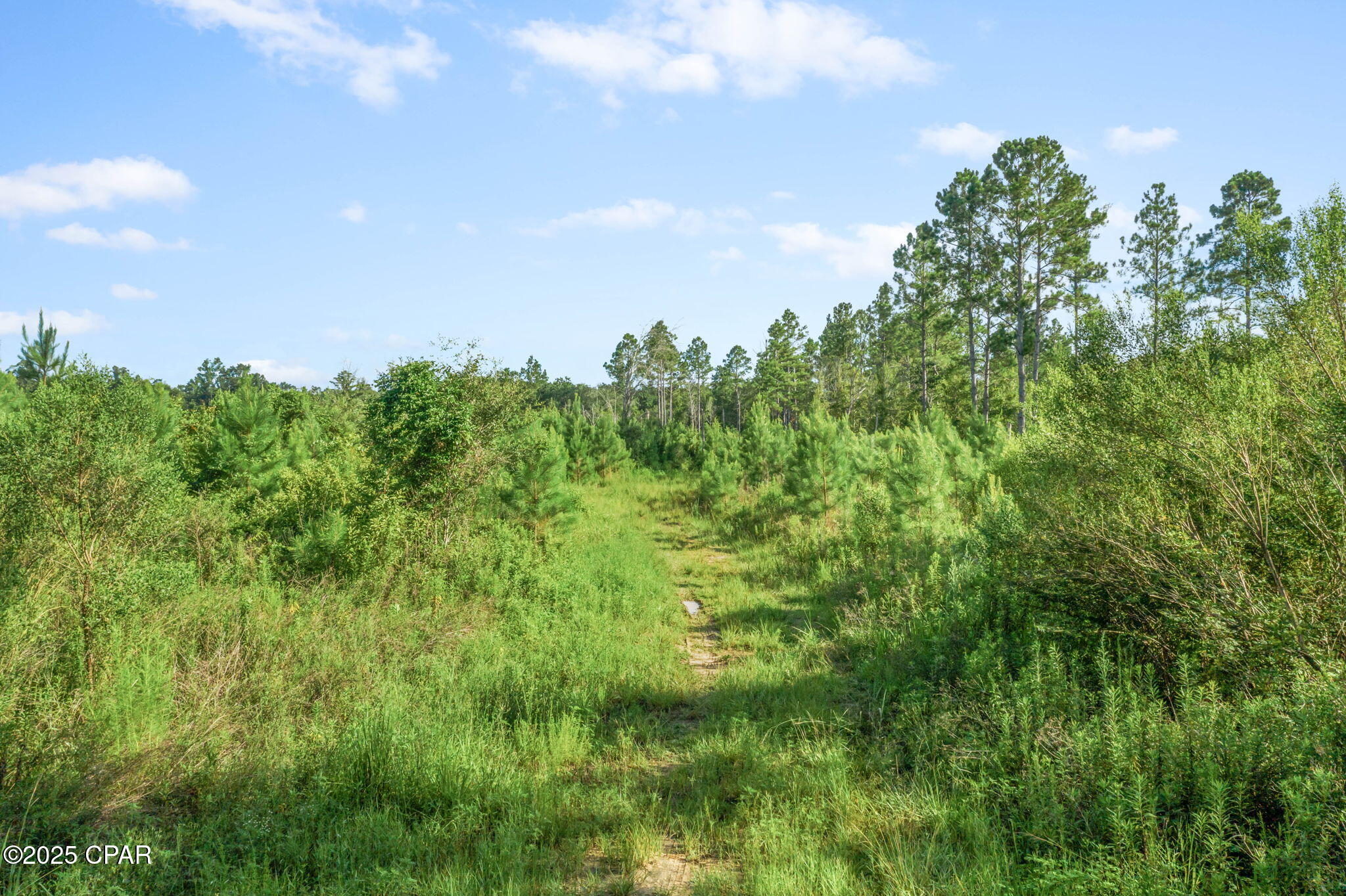 Image 9 For Xxx Birch Road (west 20)