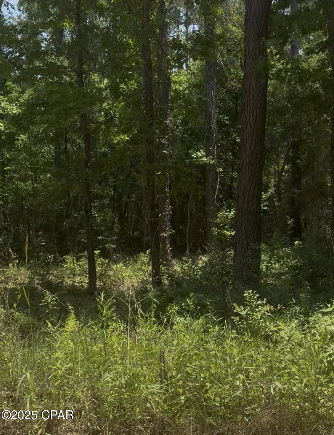 Image 1 For Xxx Ben Road  32428