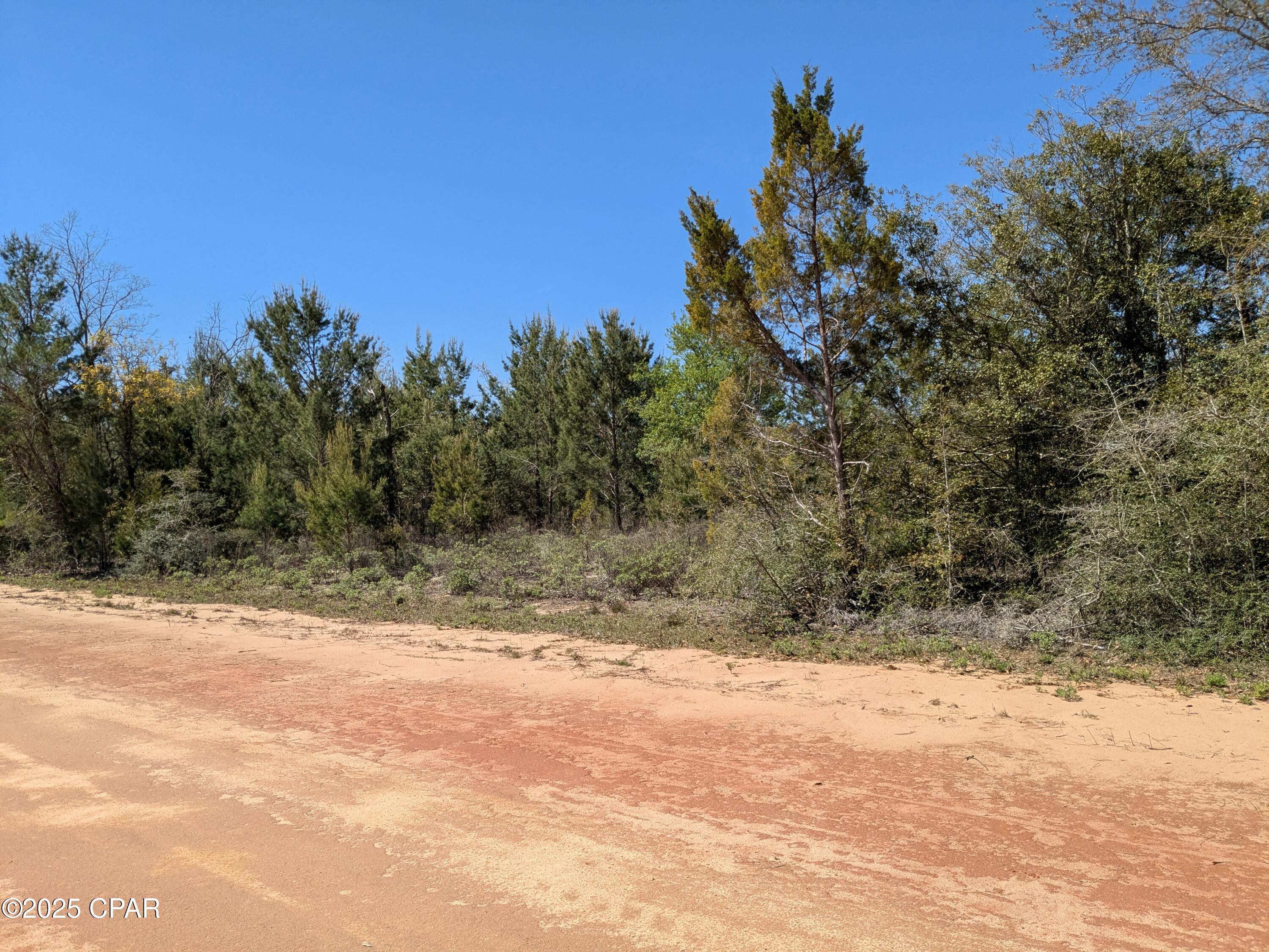 Details for 0 Joy  , Marianna, FL 32448