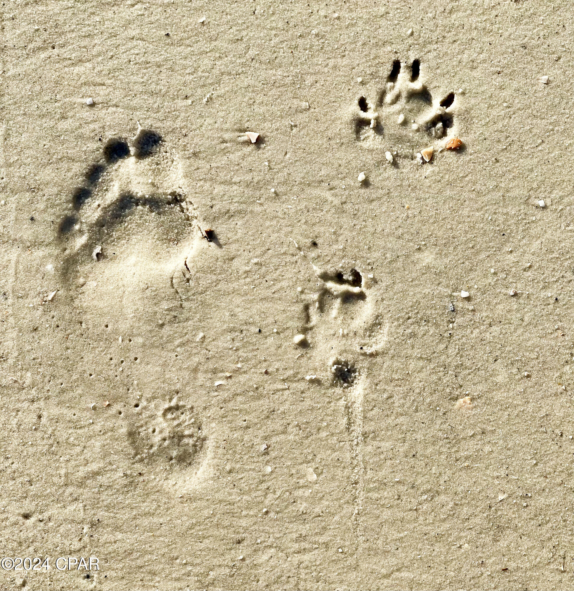 Image 44 For 320 Moonrise Avenue