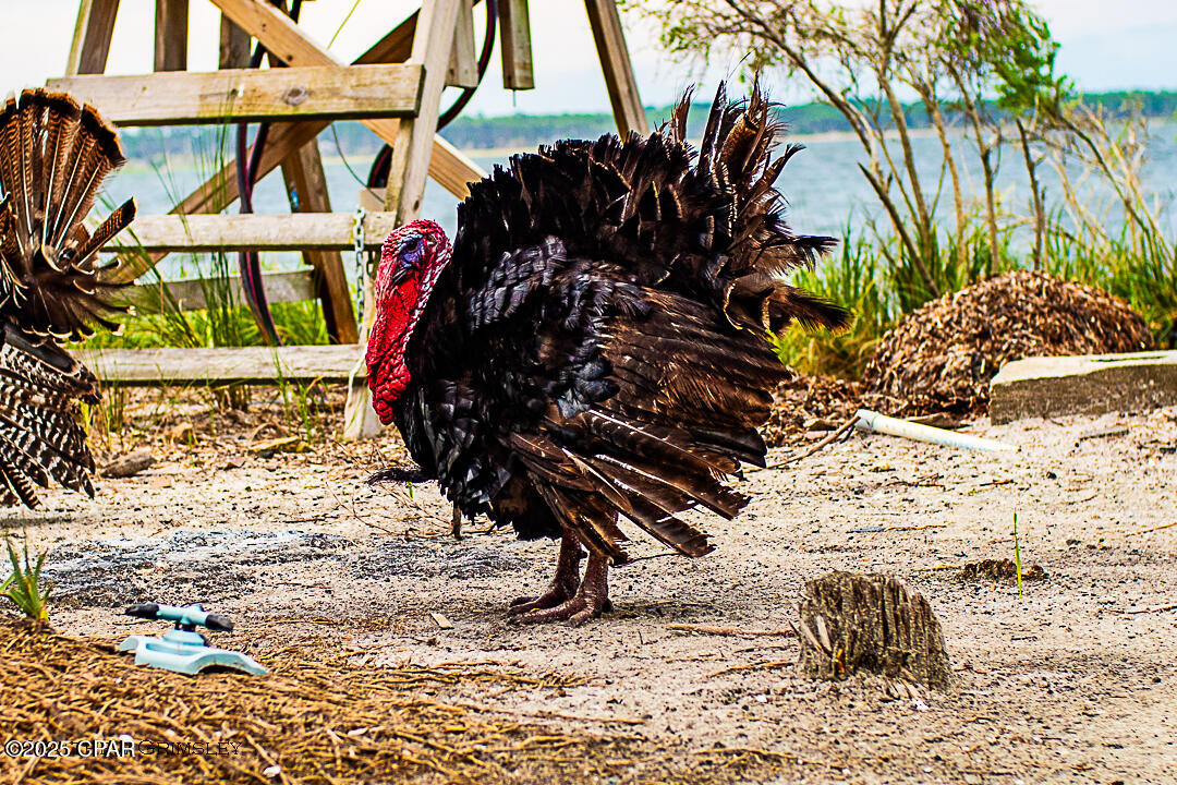 Image 18 For 2049 State Road 30a  20