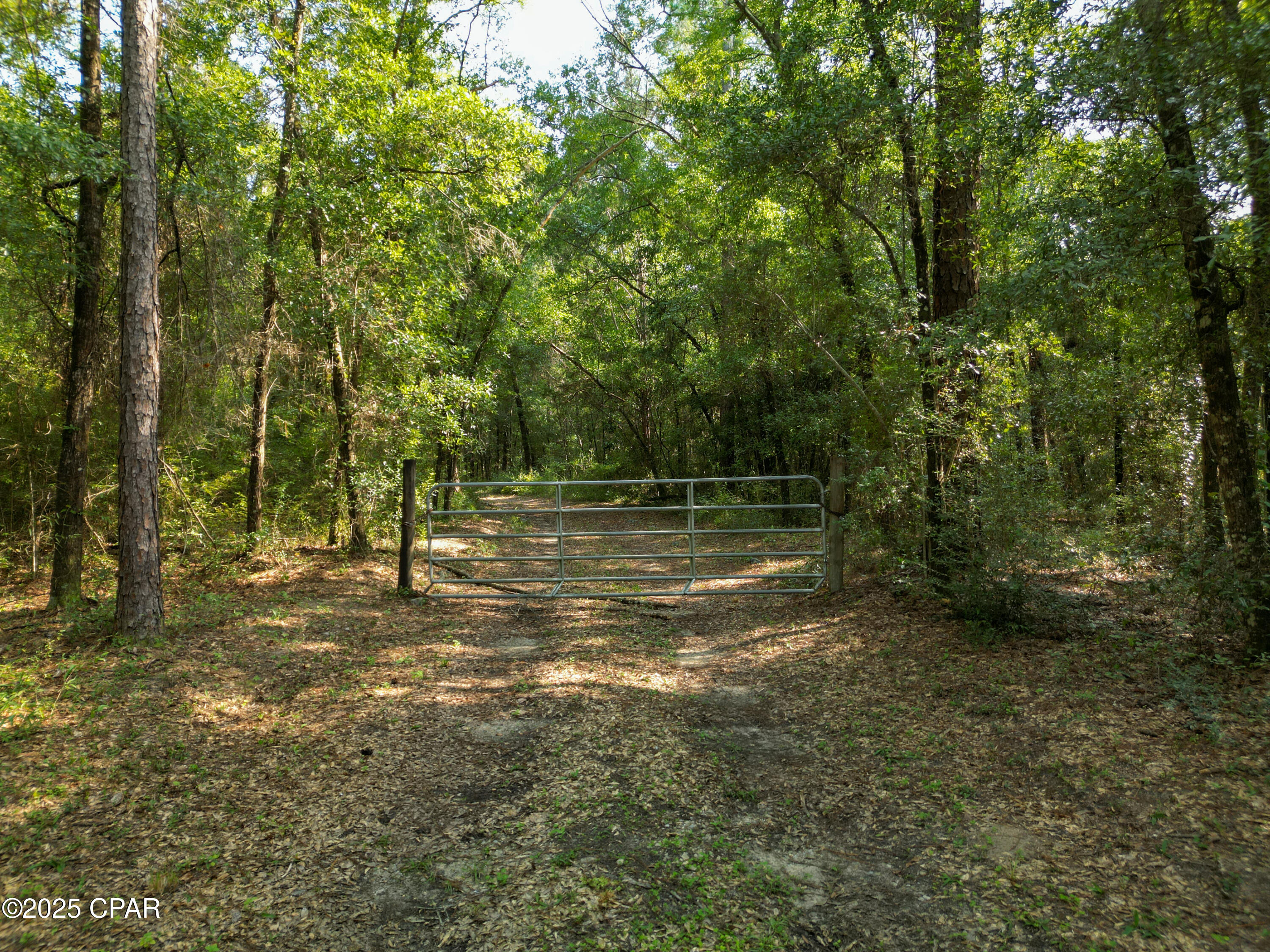 Image 44 For 1509 Southern Way