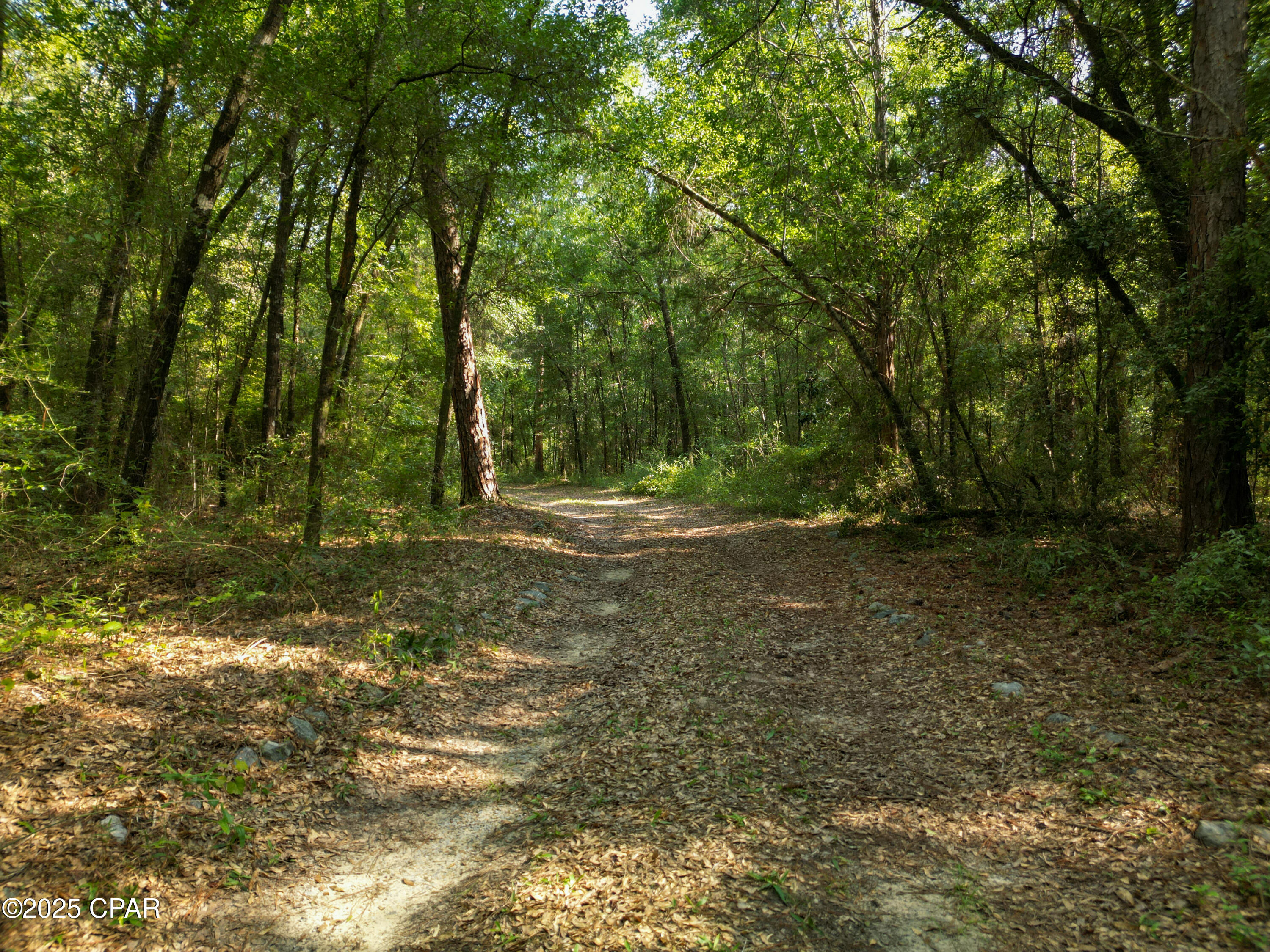 Image 45 For 1509 Southern Way