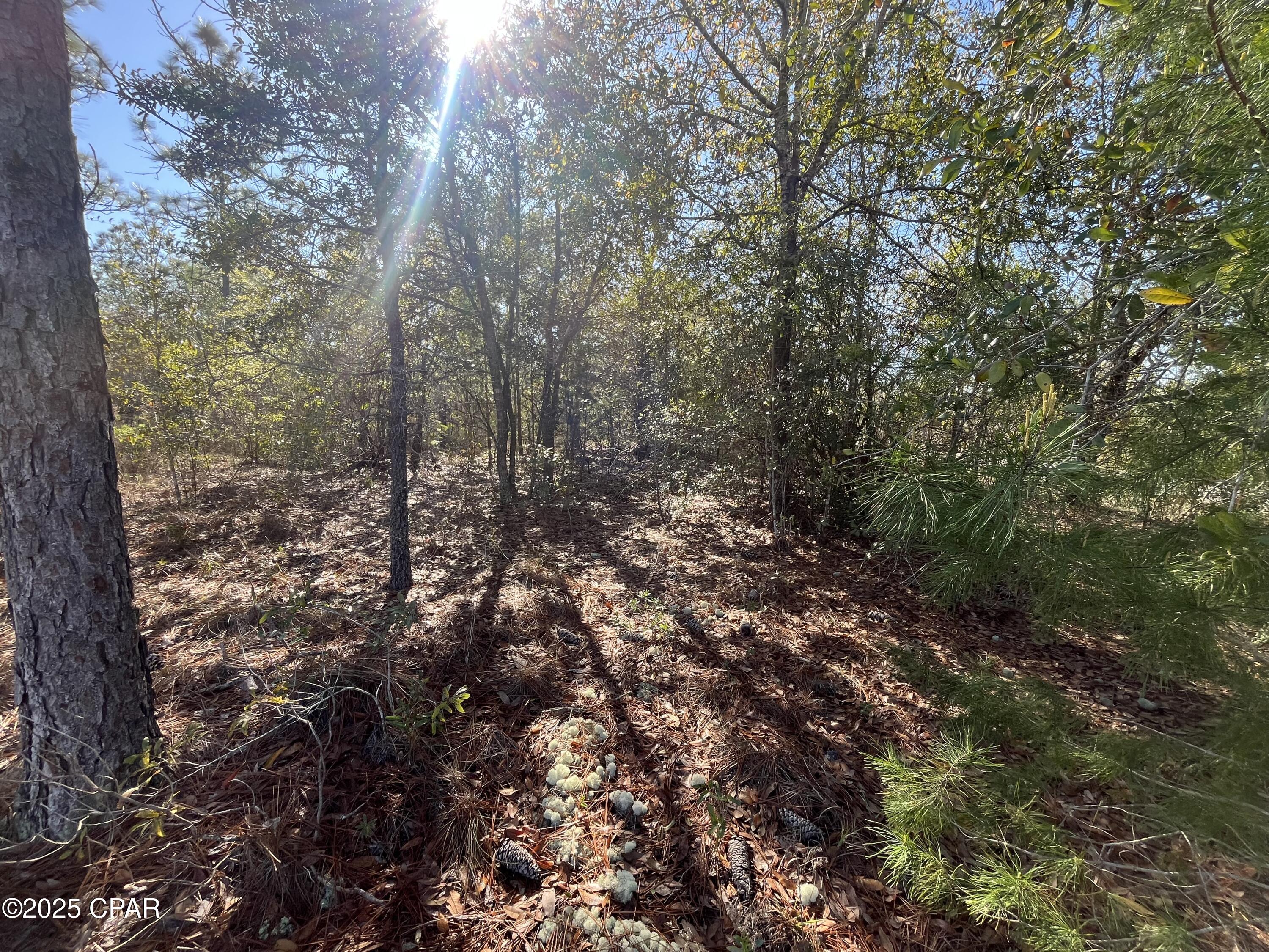 Image 11 For Lot 17 Shelby Court