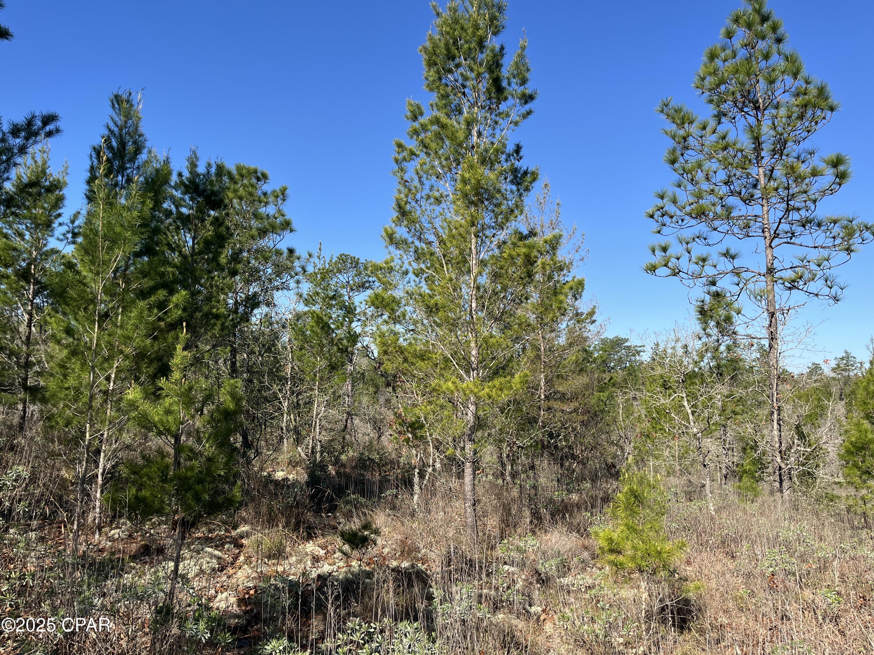Details for Lot 18 Carey Boulevard, Chipley, FL 32428