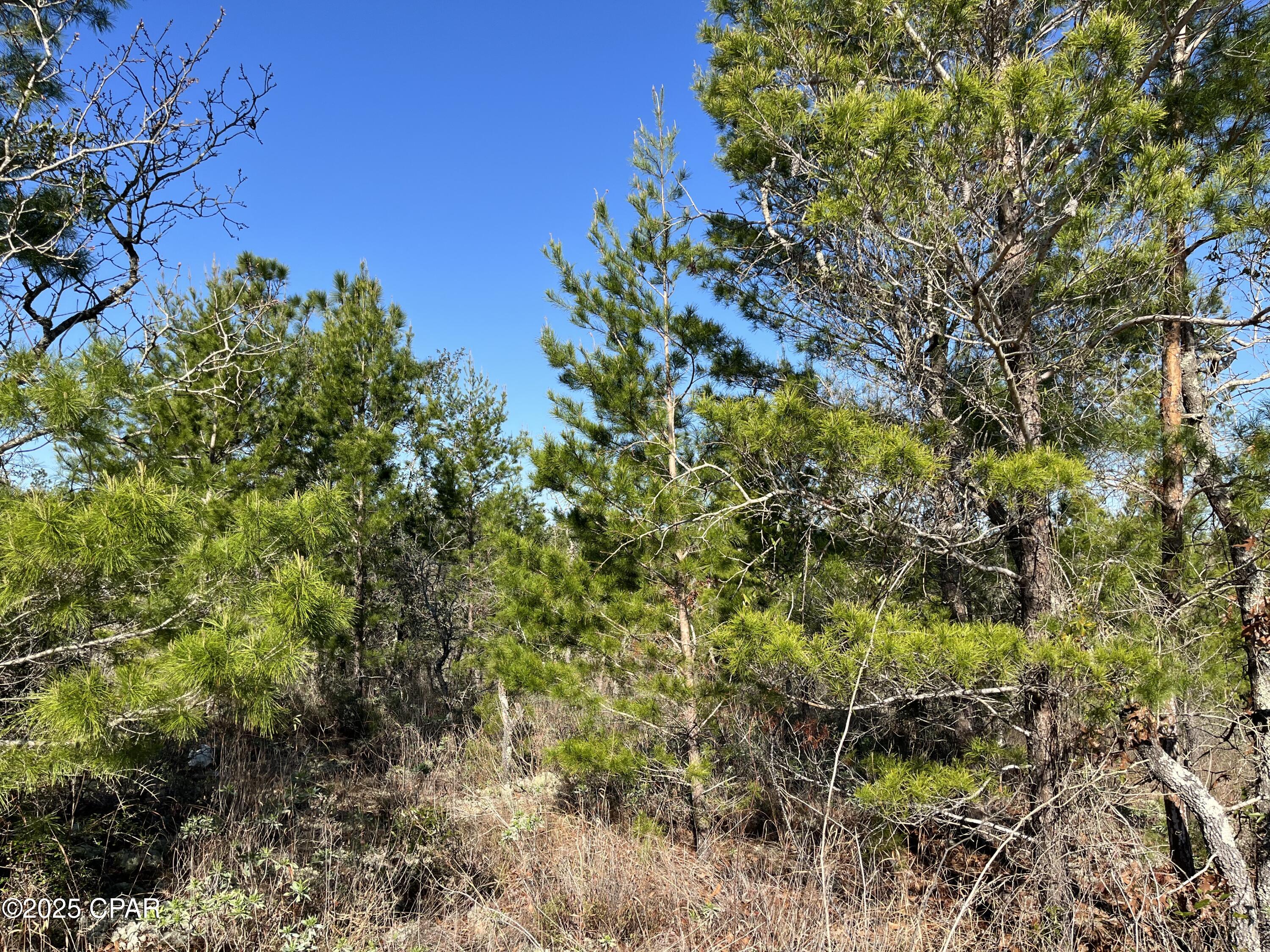 Image 3 For Lot 18 Carey Boulevard