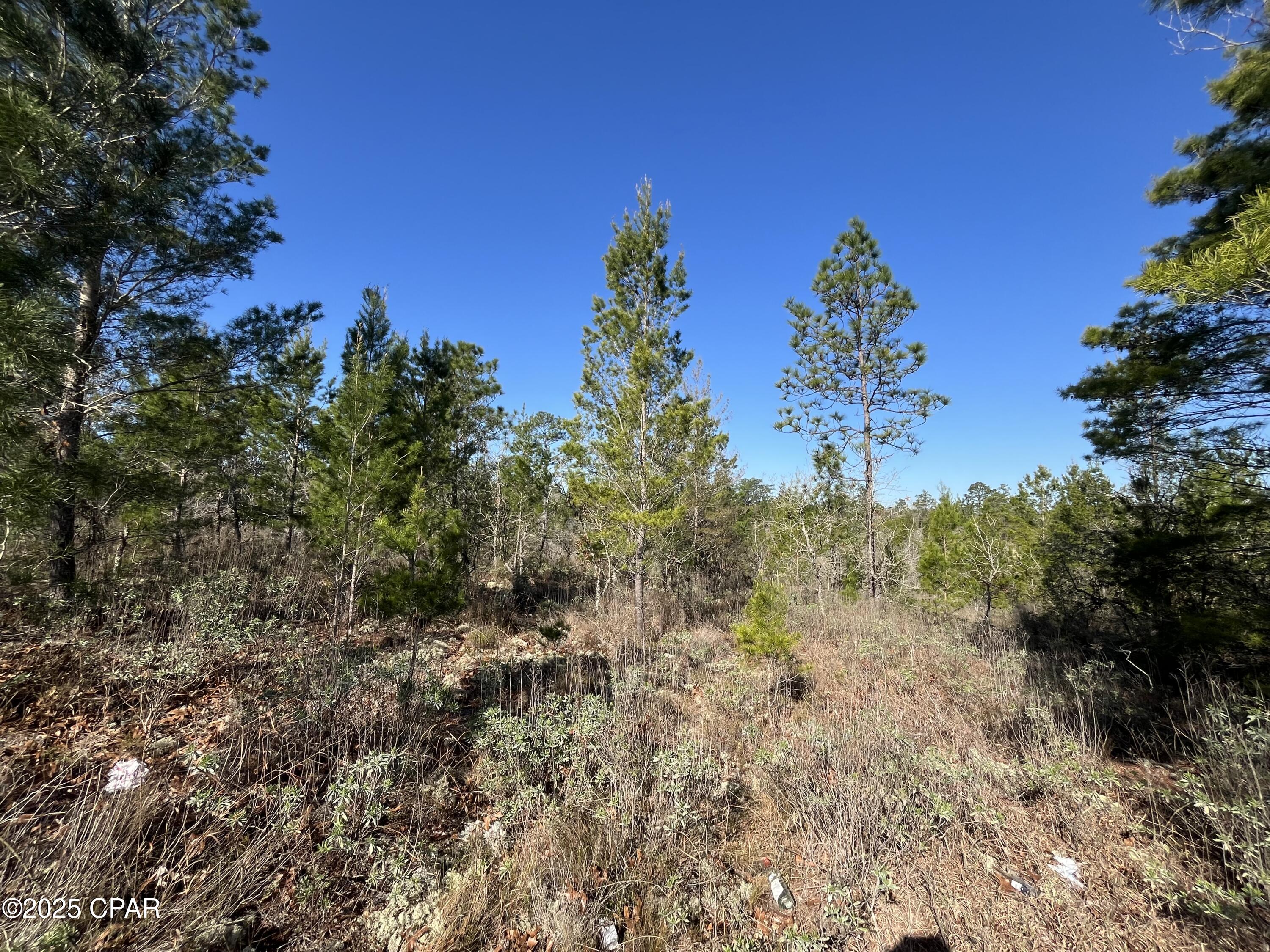 Image 4 For Lot 18 Carey Boulevard