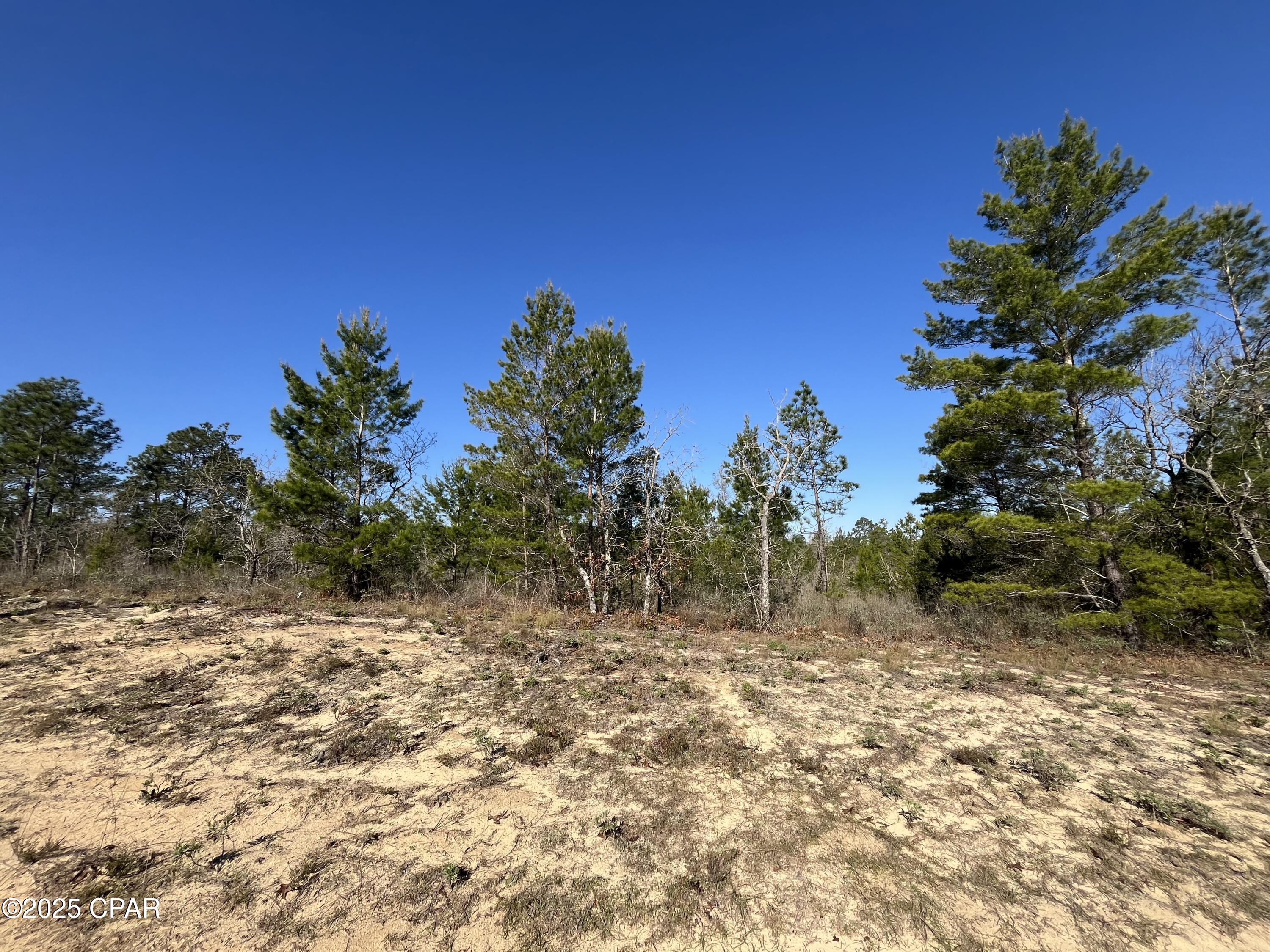 Image 5 For Lot 18 Carey Boulevard