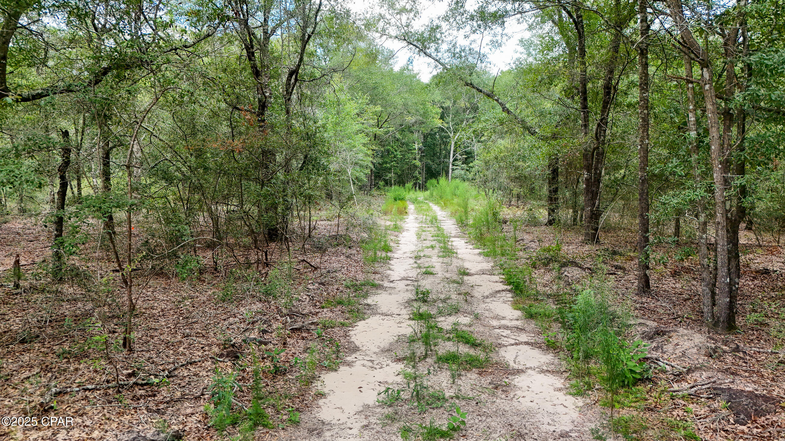 Image 13 For Lot 23 Seacoast Way