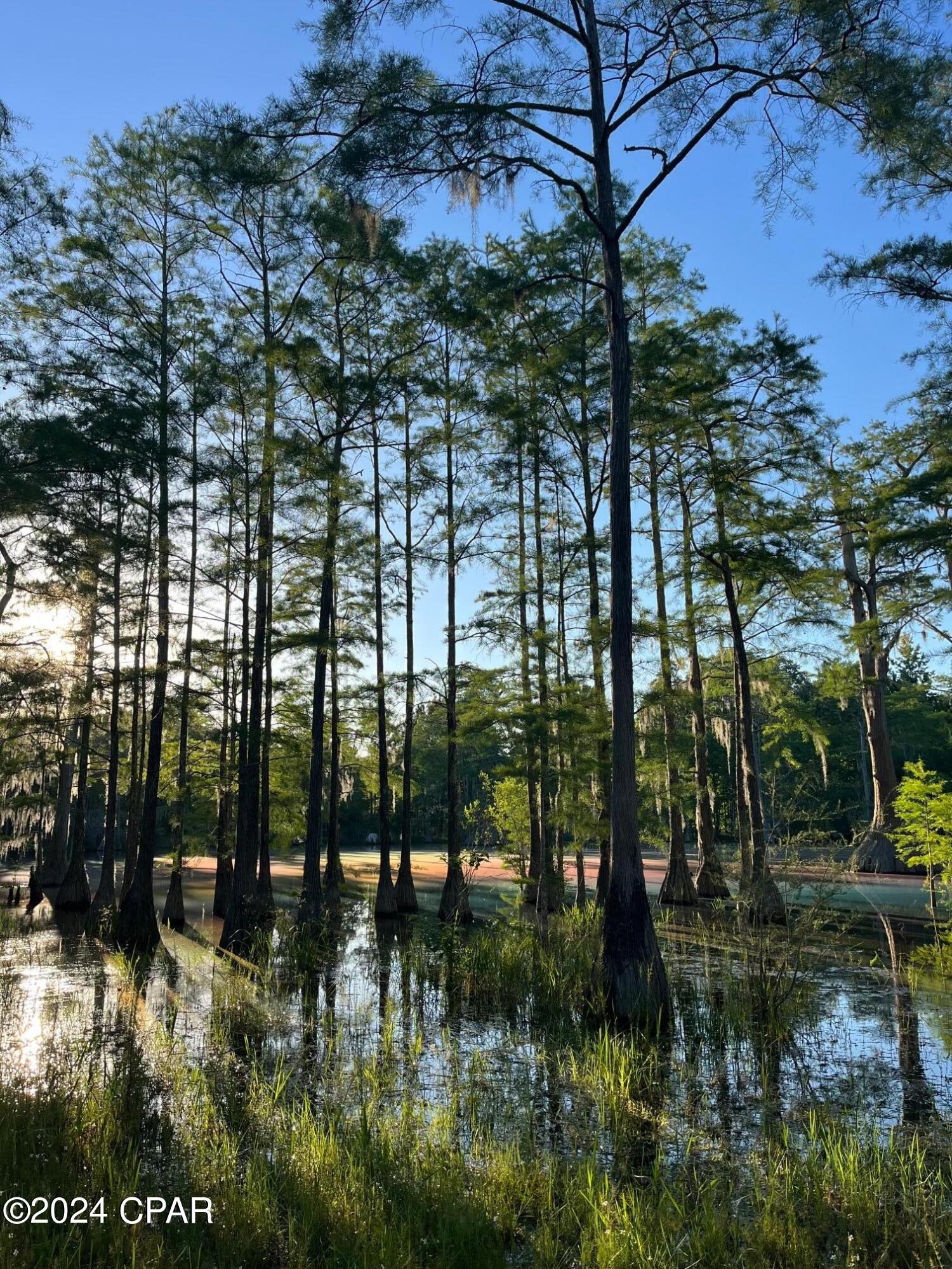 Image 51 For 727 Wrights Creek Road