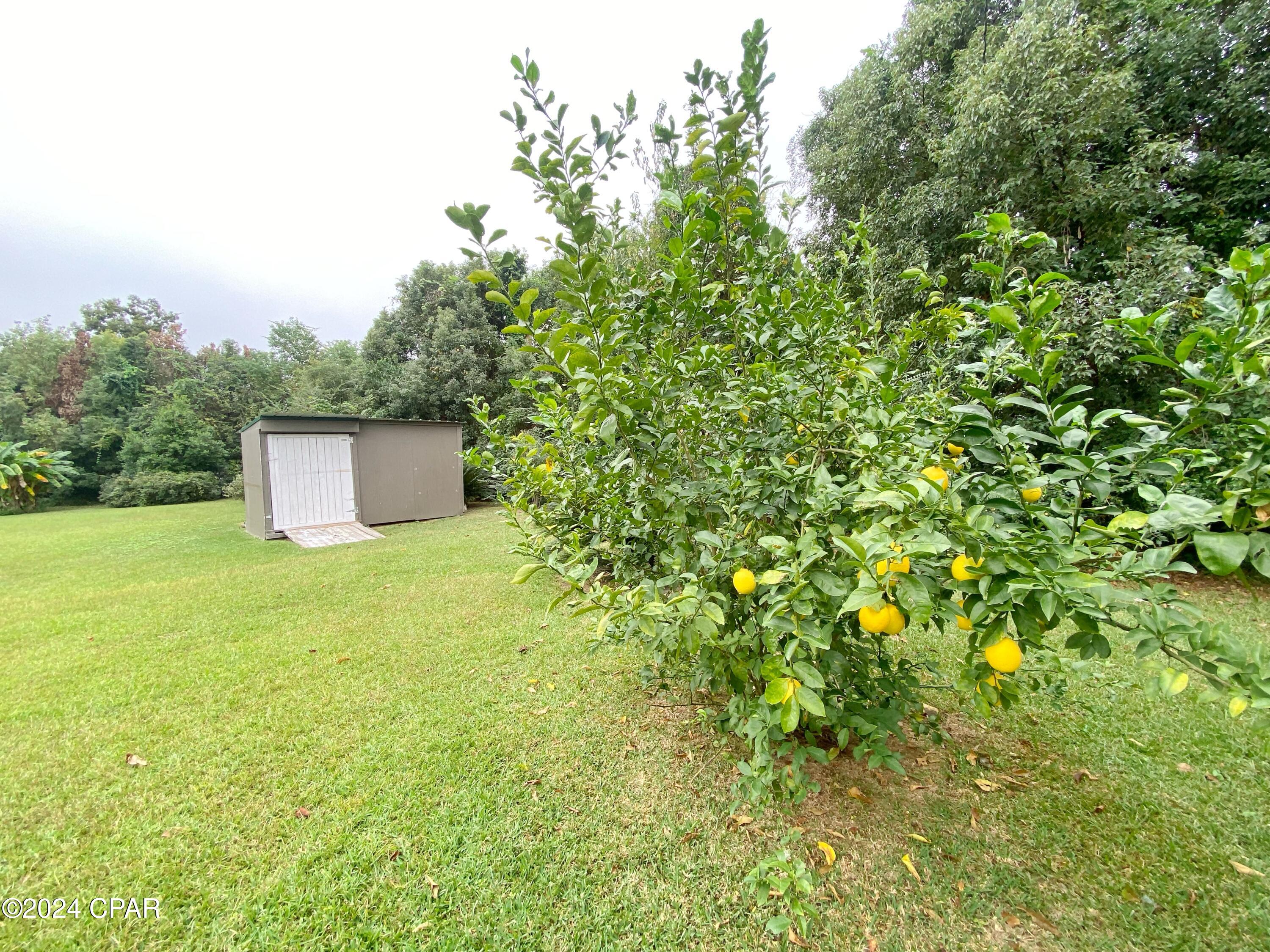 Image 50 For 2936 Russ Street