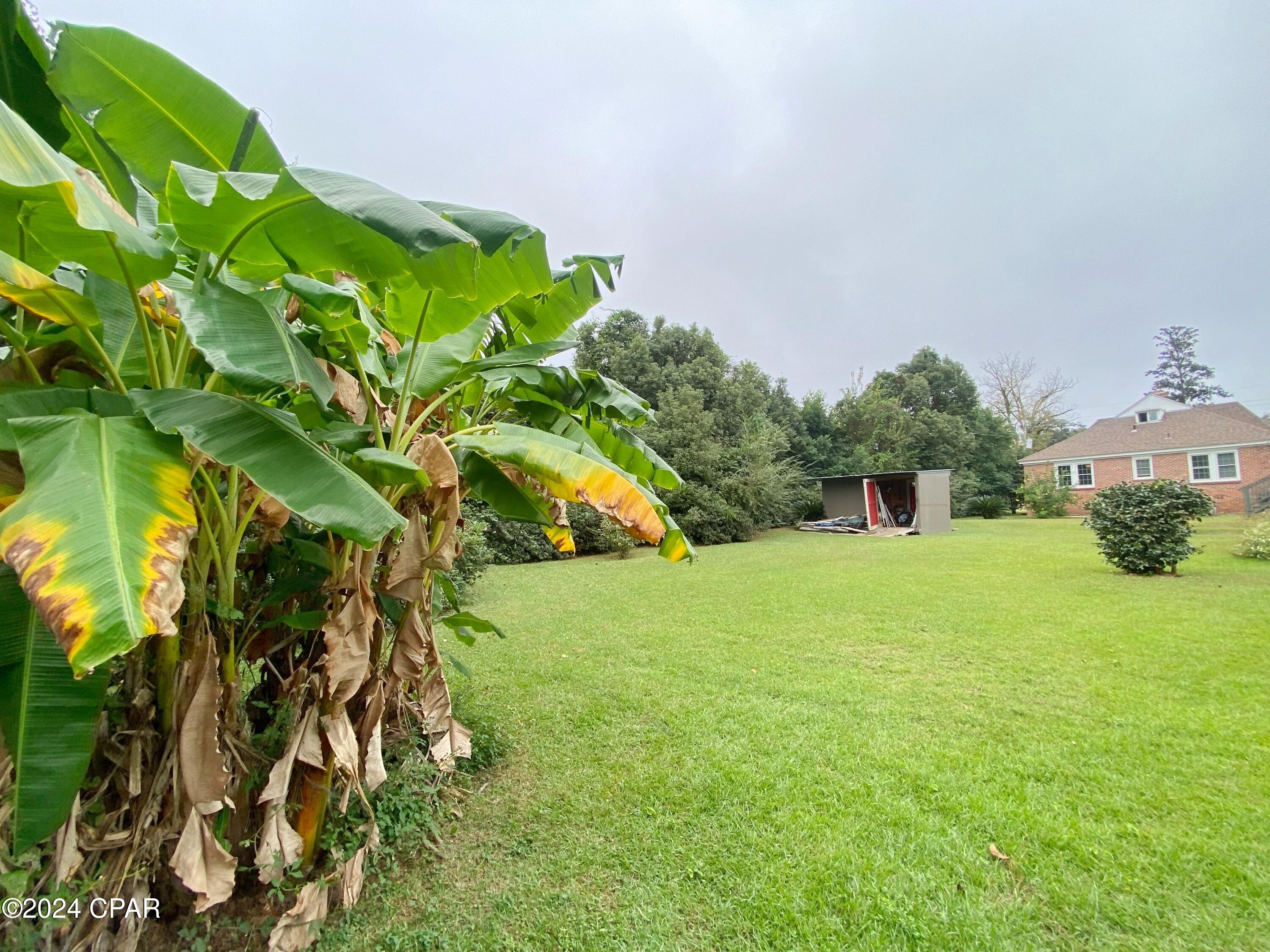 Image 56 For 2936 Russ Street