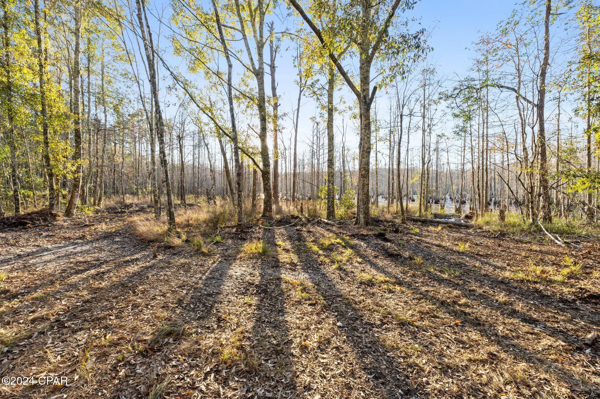 Image 10 For 1486 Highway 79