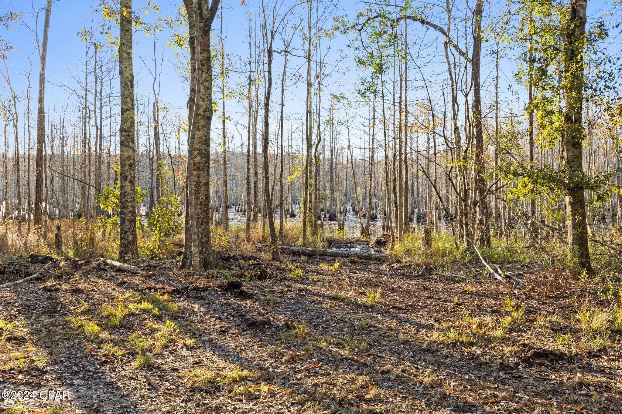 Image 11 For 1486 Highway 79