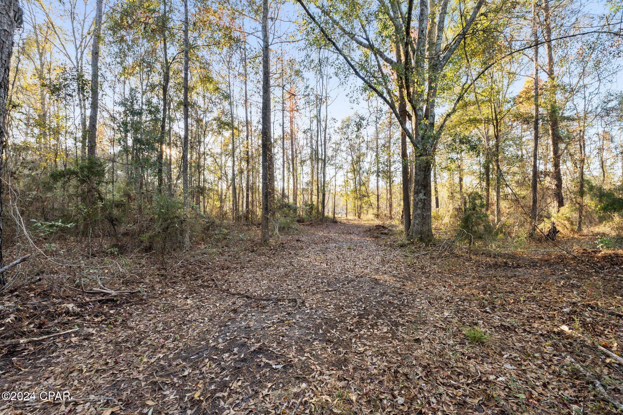 Image 12 For 1486 Highway 79