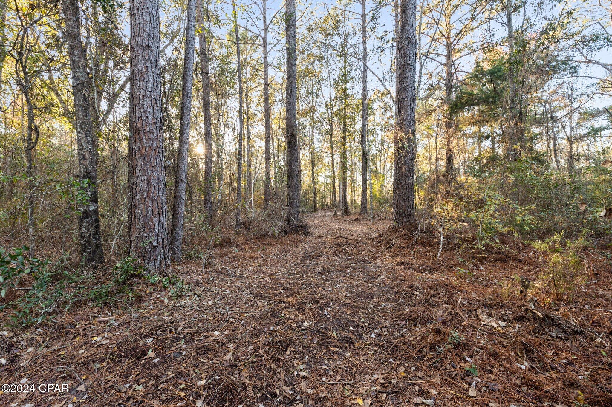 Image 13 For 1486 Highway 79