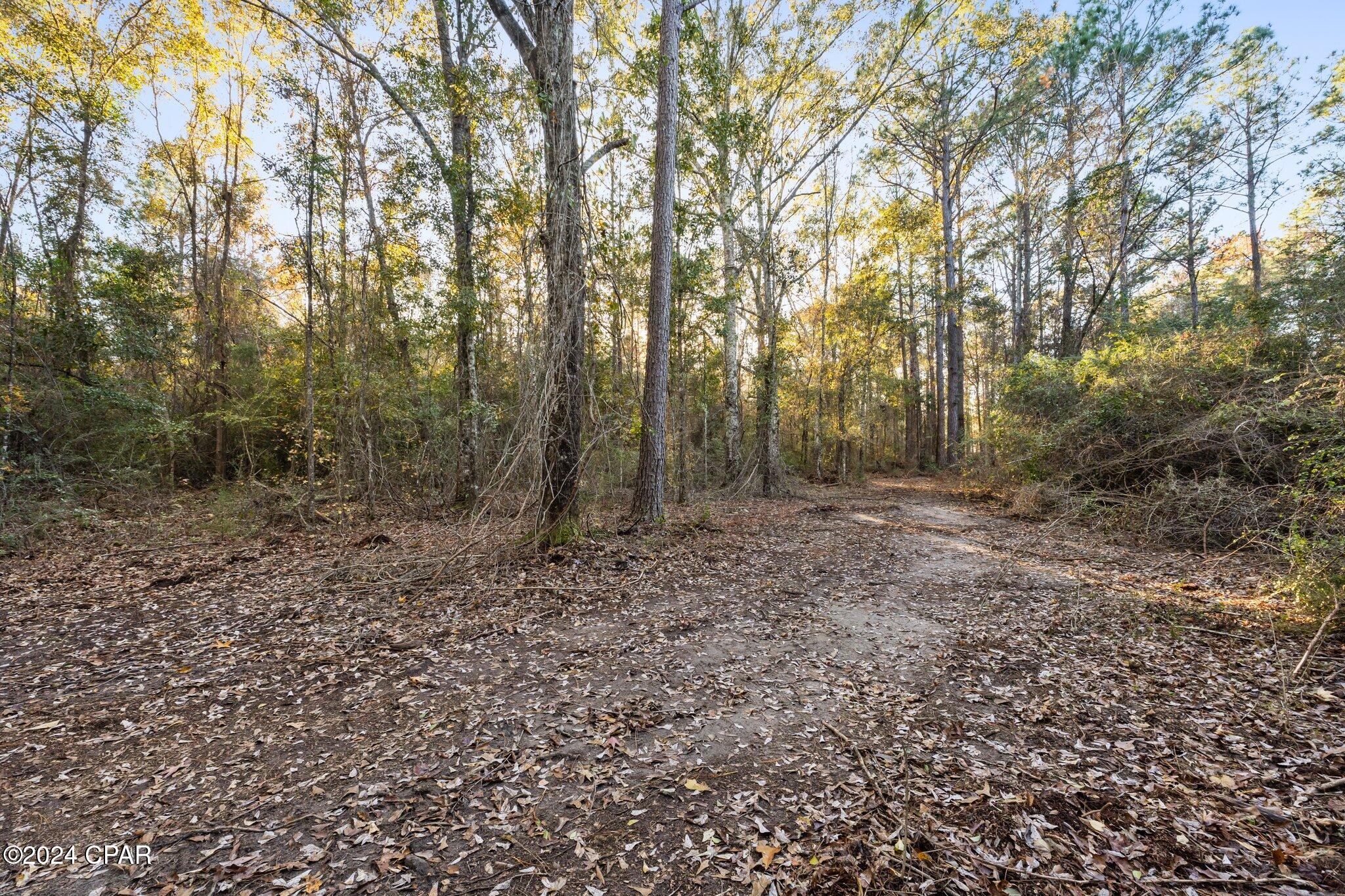 Image 14 For 1486 Highway 79