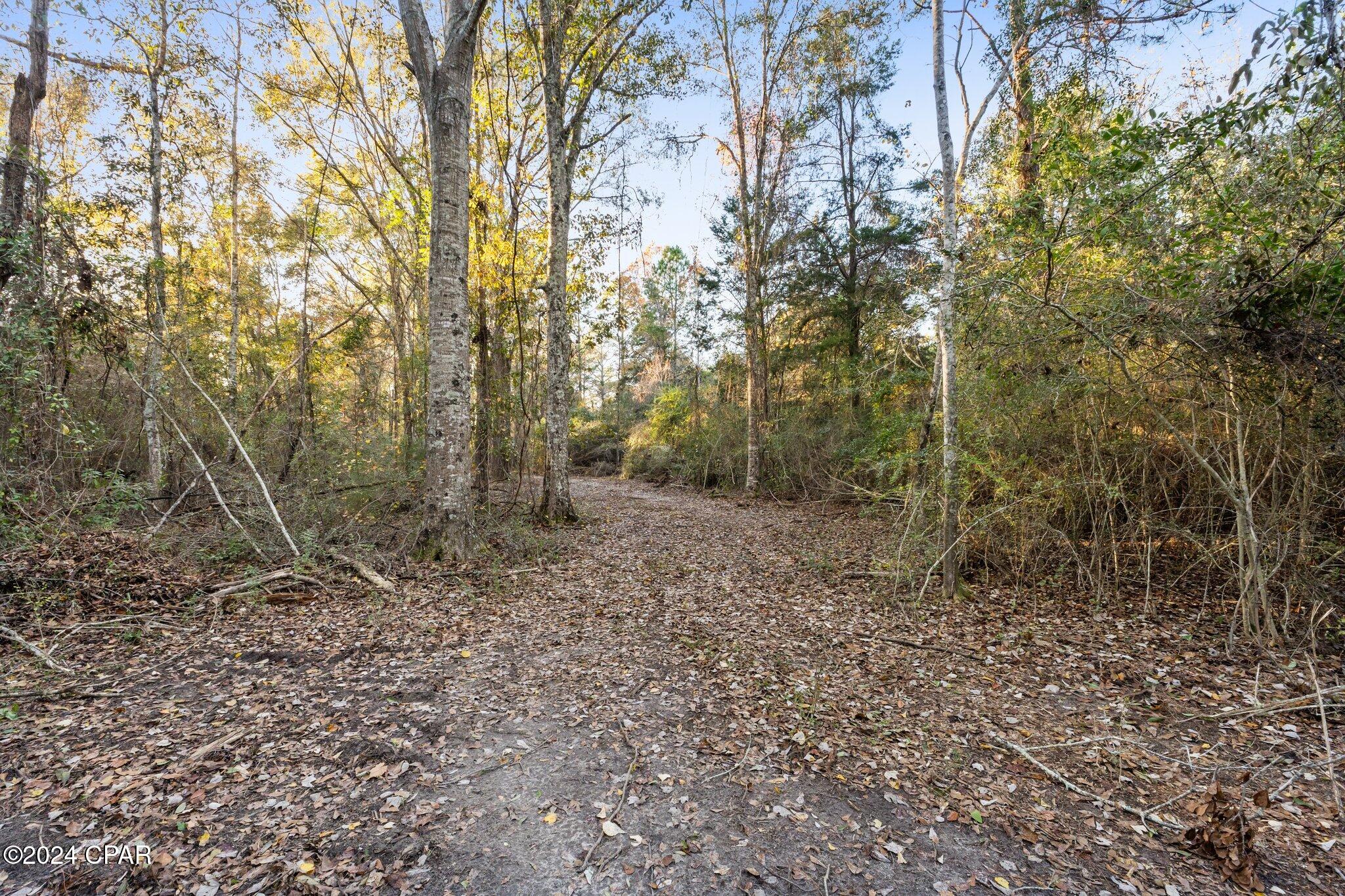 Image 15 For 1486 Highway 79