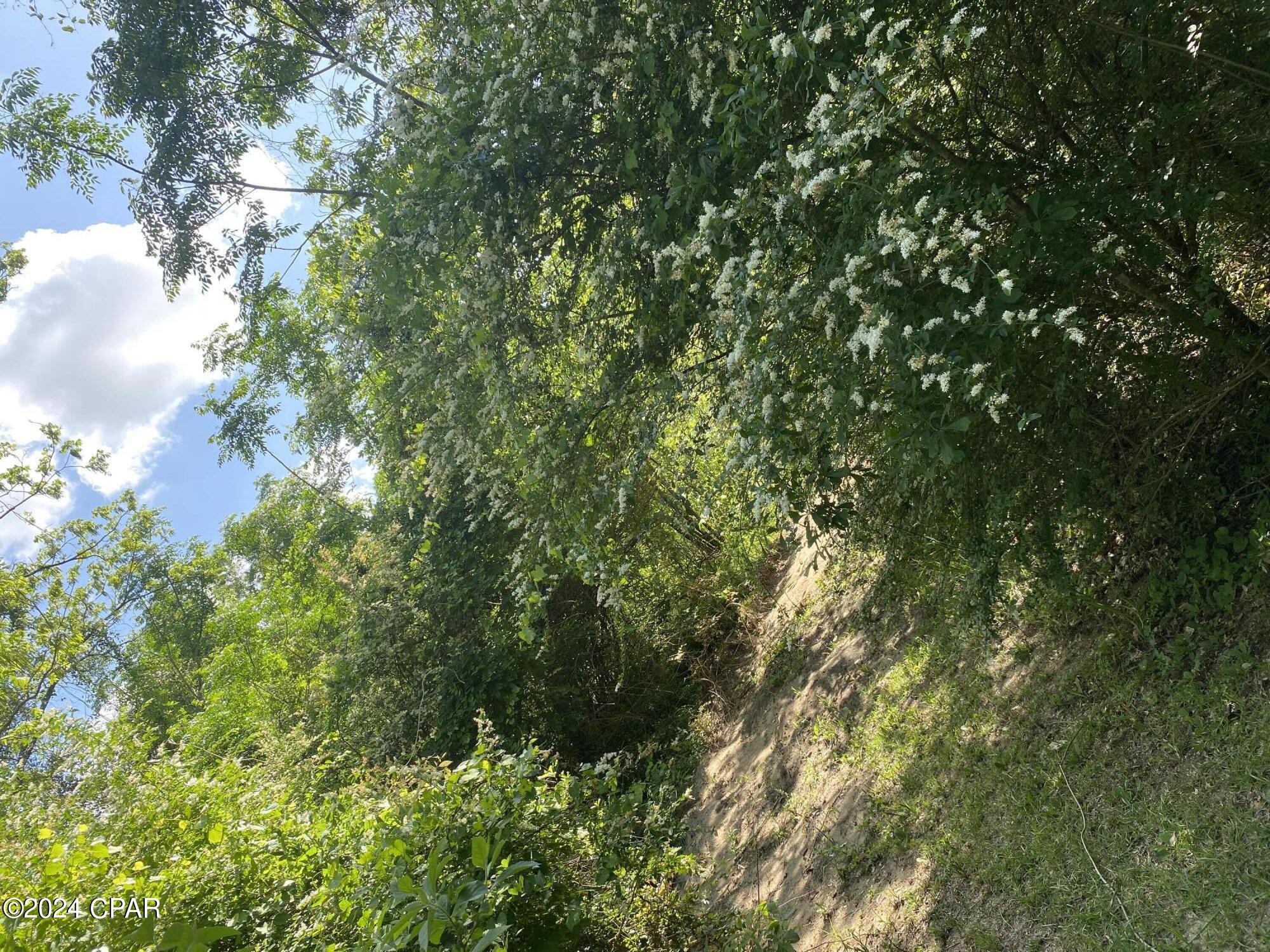 Image 13 For 2341 Sweetgum Drive