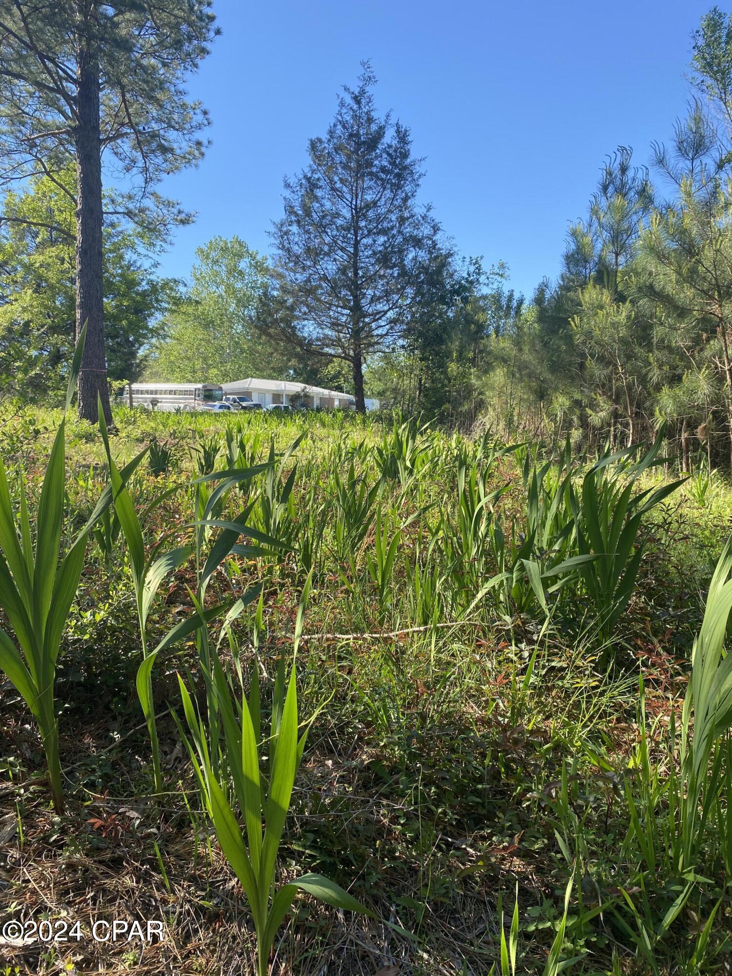 Image 8 For 2341 Sweetgum Drive