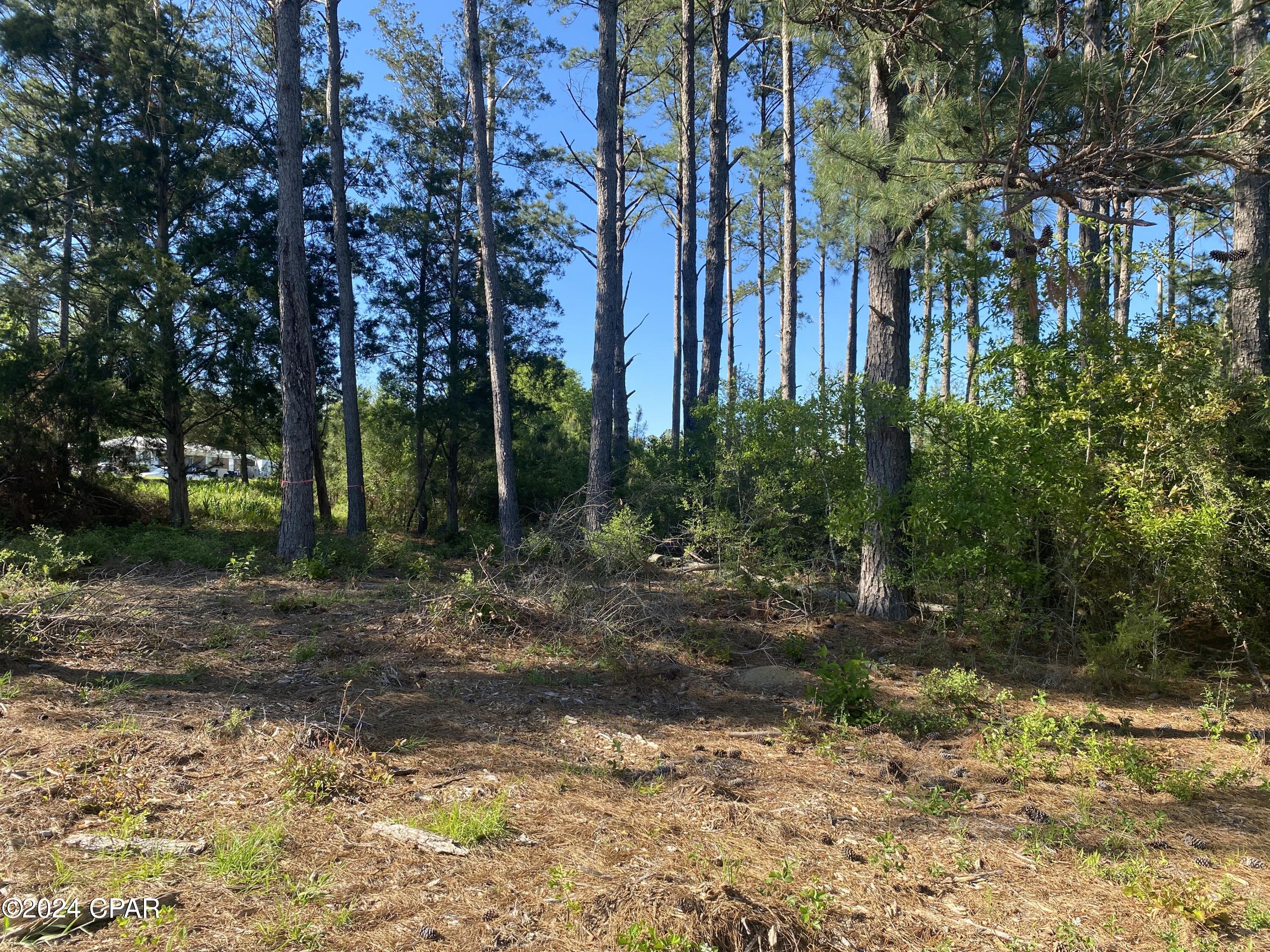 Image 9 For 2341 Sweetgum Drive