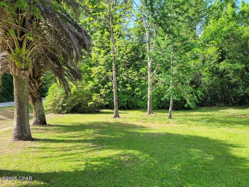 Image 10 For 2491 Pine Street