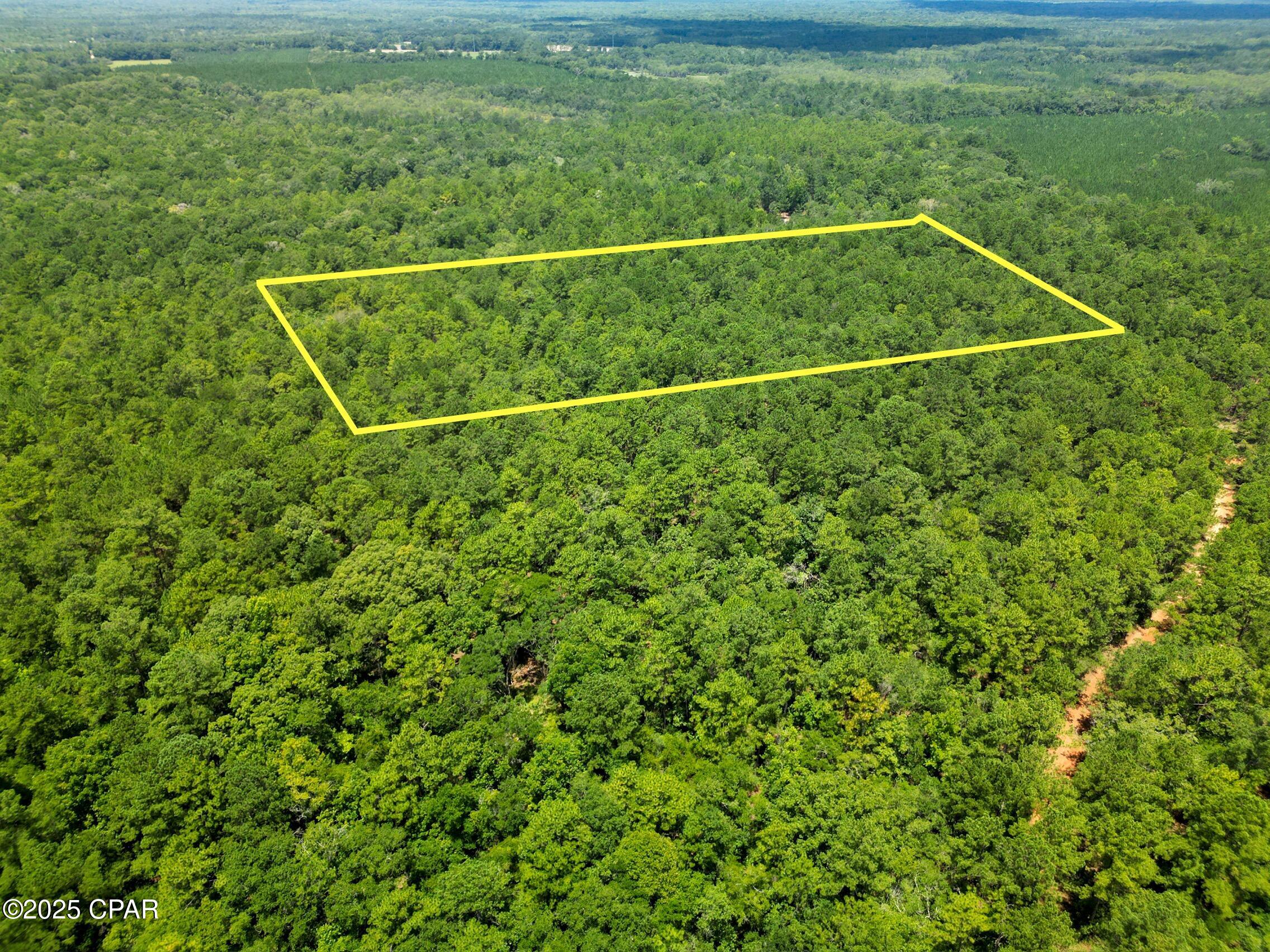 Homes for sale in Vernon, FL | Tbd Creek Run Rd, Vernon, FL 32462 | MLS# 775845