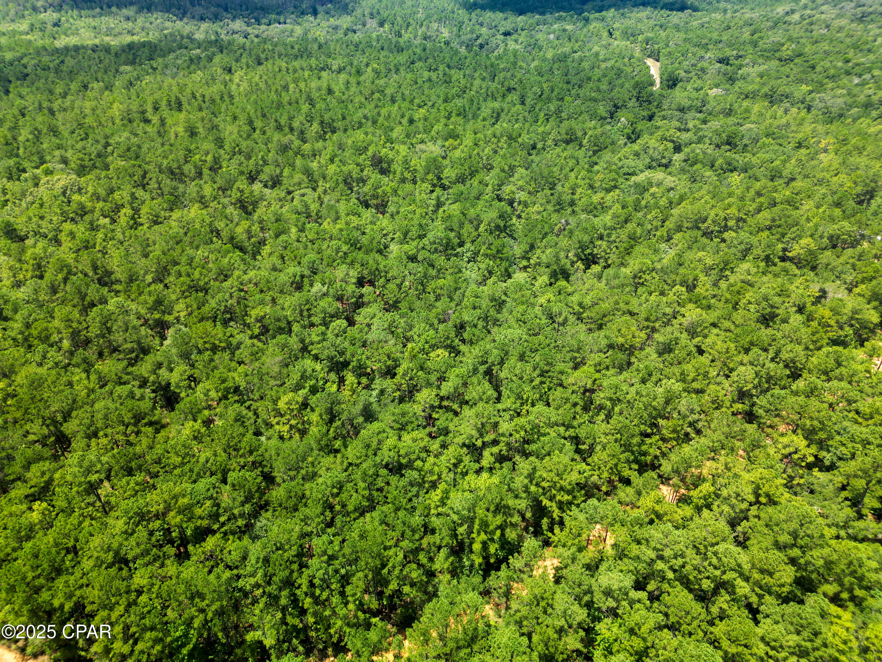 Homes for sale in Vernon, FL | Tbd Creek Run Rd, Vernon, FL 32462 | MLS# 775845