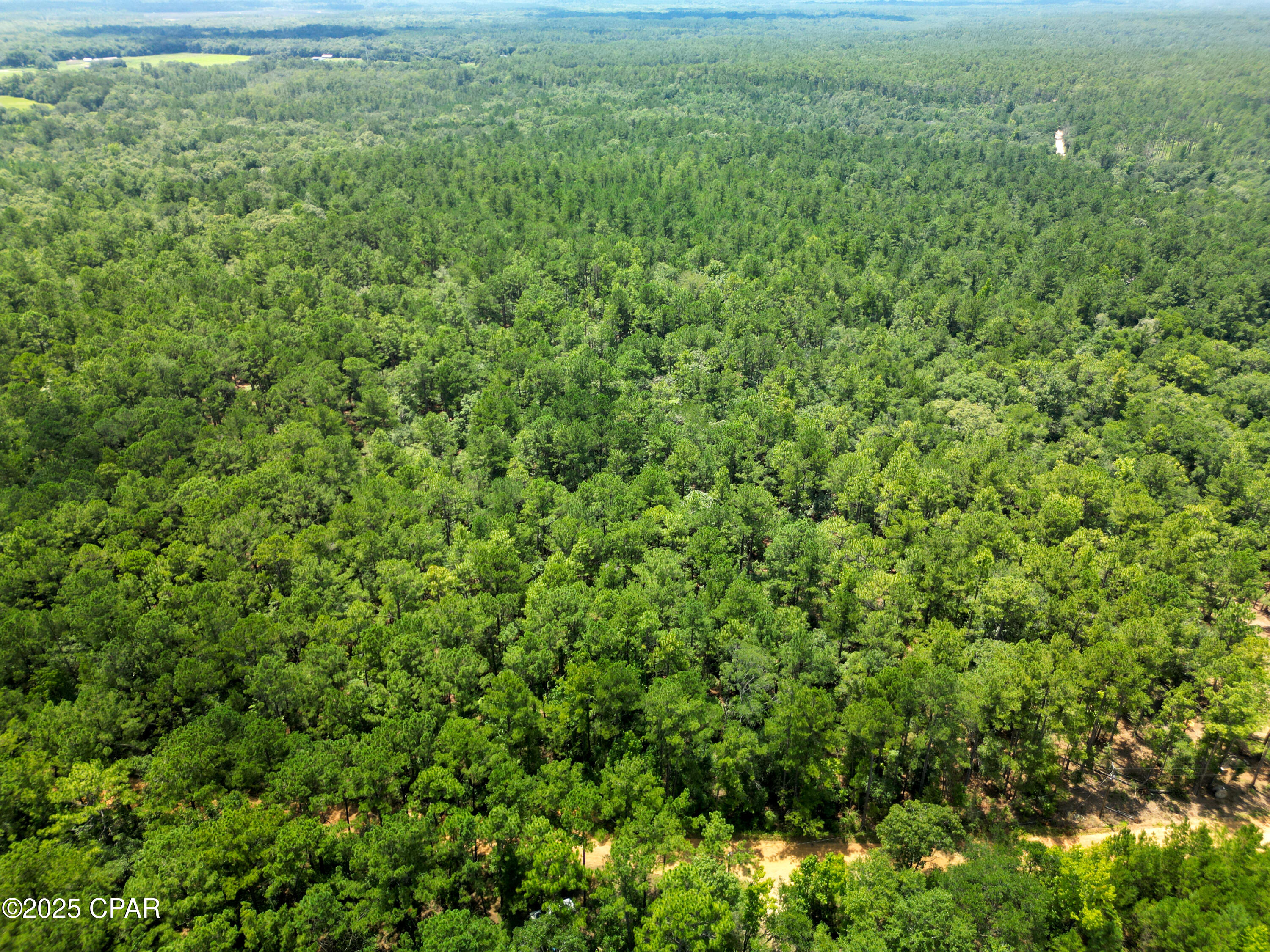 Homes for sale in Vernon, FL | Tbd Creek Run Rd, Vernon, FL 32462 | MLS# 775845